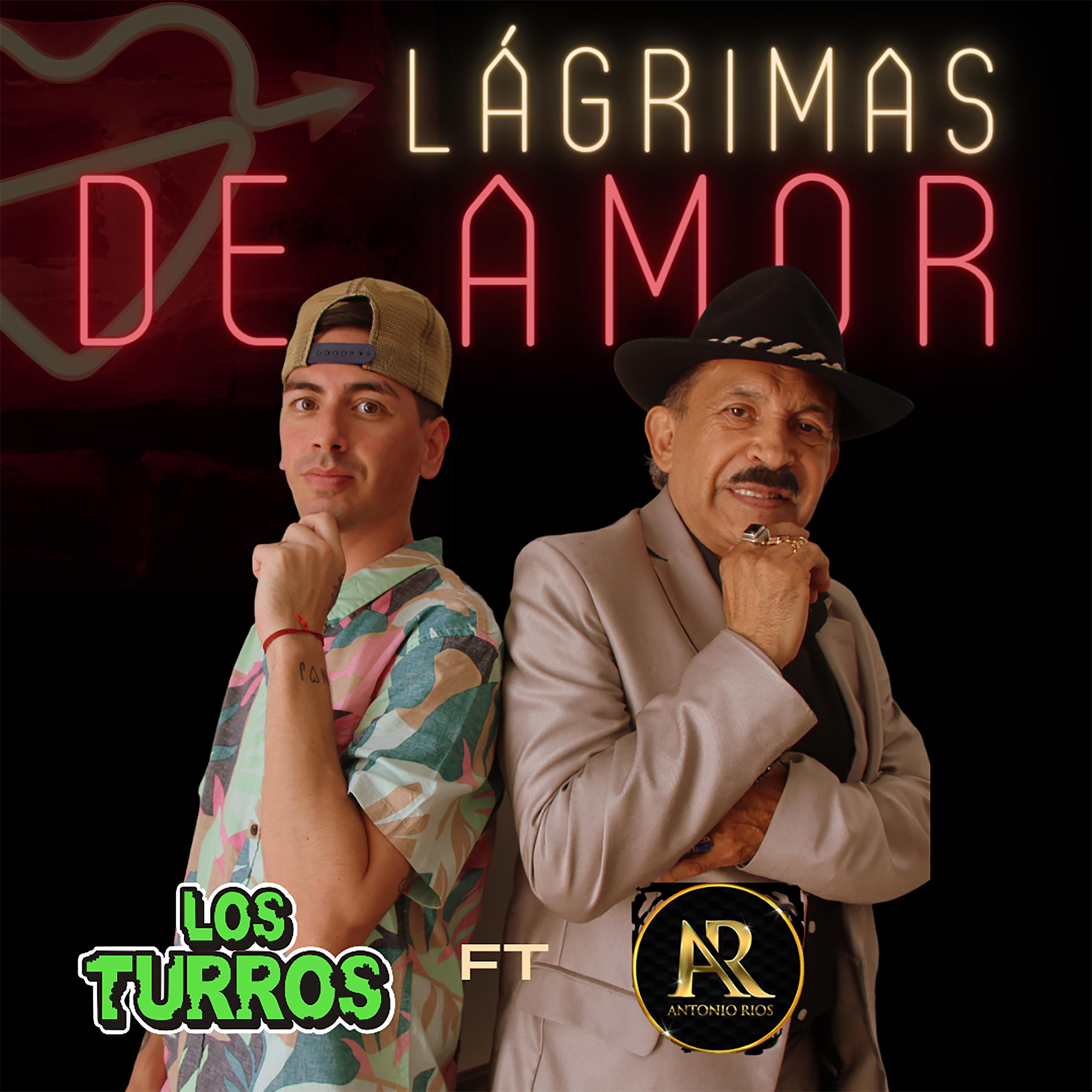 Постер альбома Lagrimas de Amor