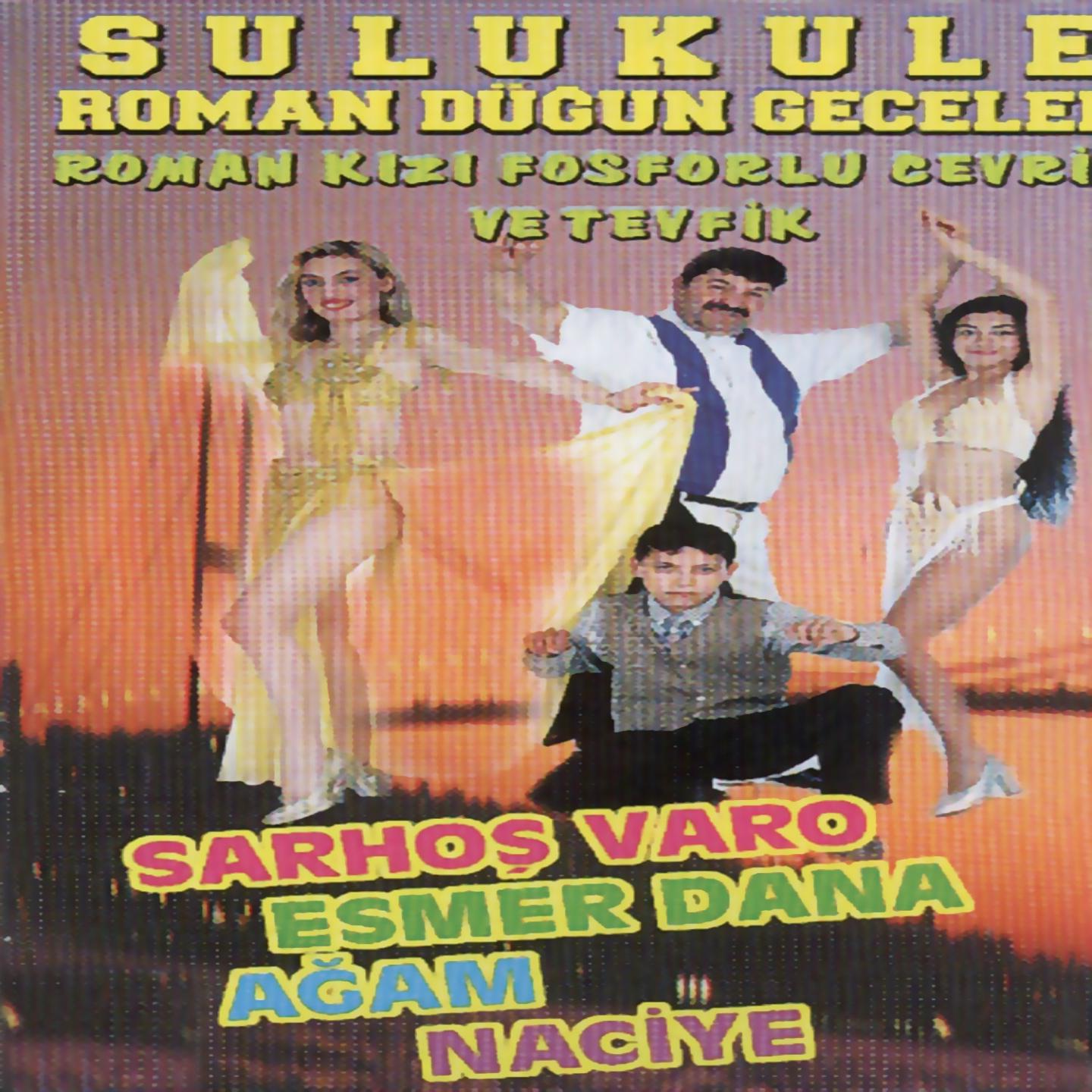 Постер альбома Sulukule Roman Düğün Geceleri