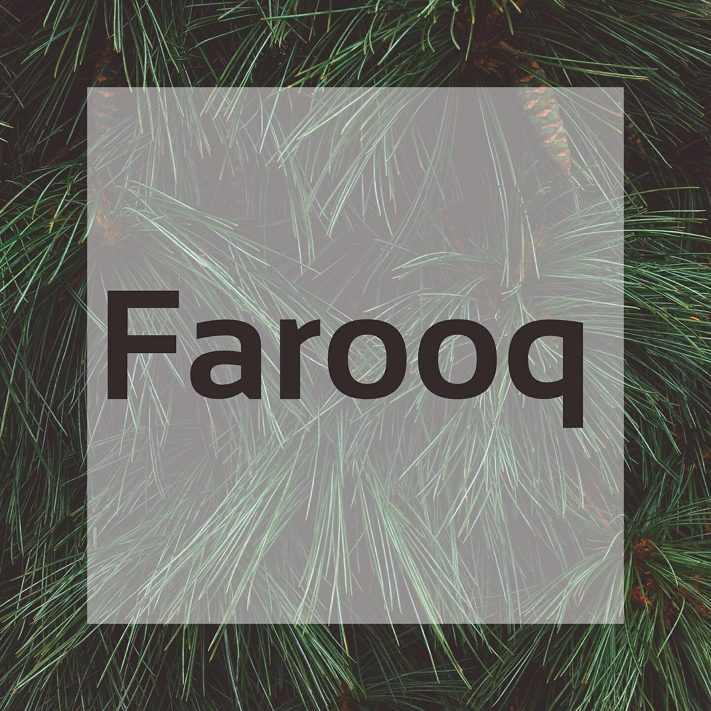 Farooq - Khudaya Ma Da Khukulo Na Kurban Ki