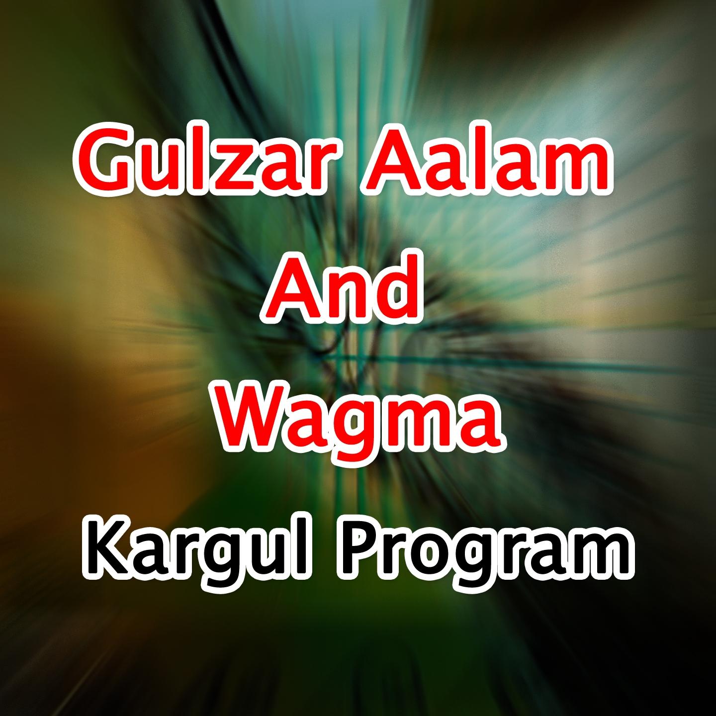 Постер альбома Kargul Program