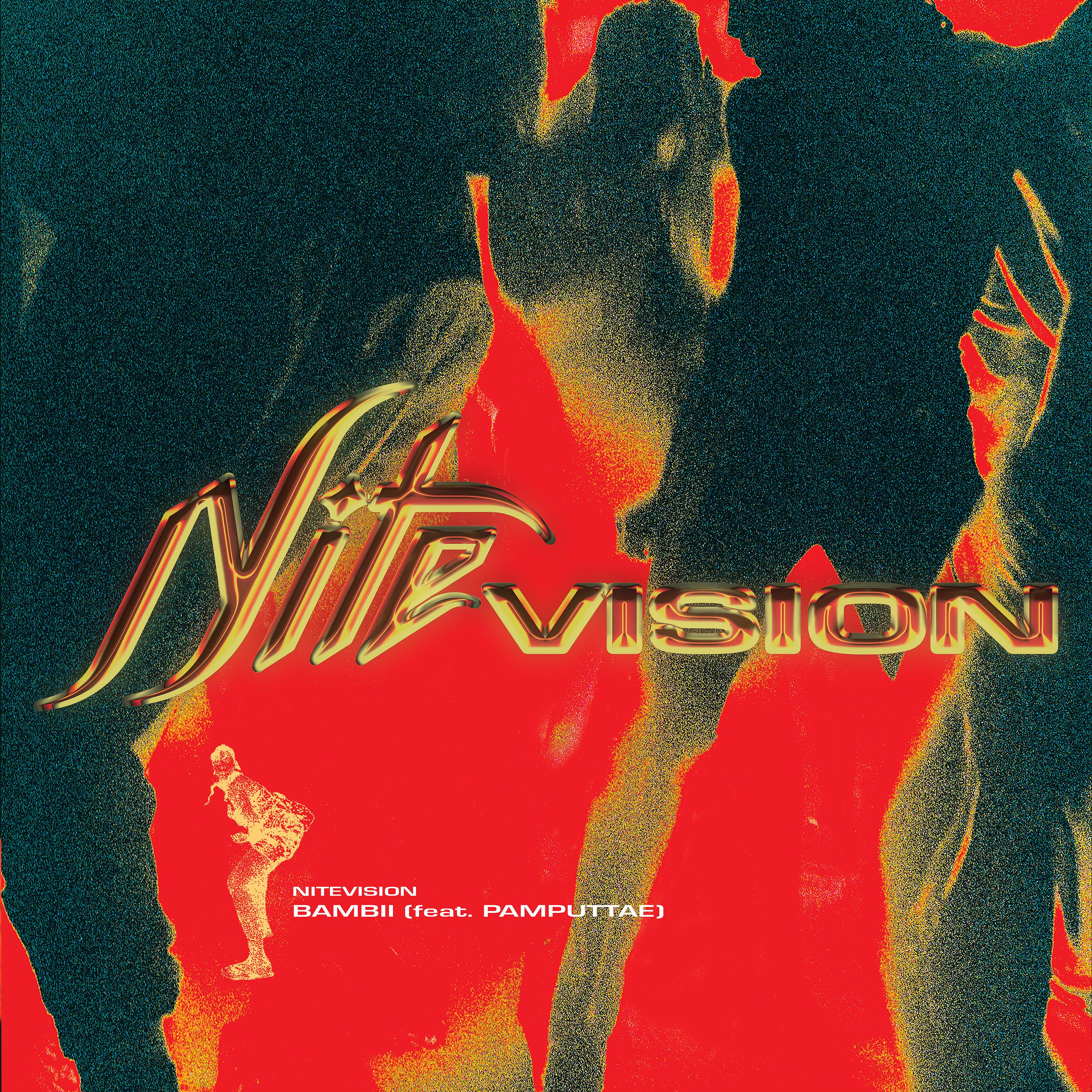 Постер альбома Nitevision