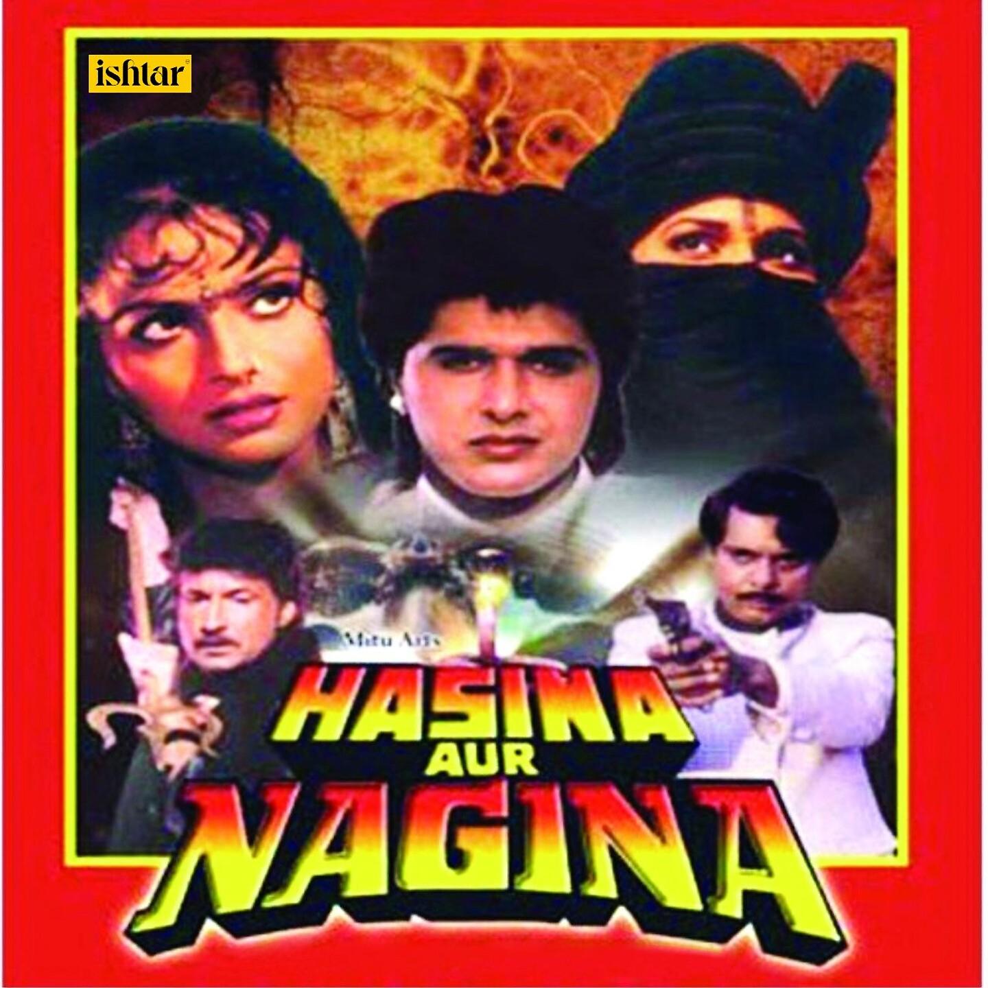 Постер альбома Hasina Aur Nagina
