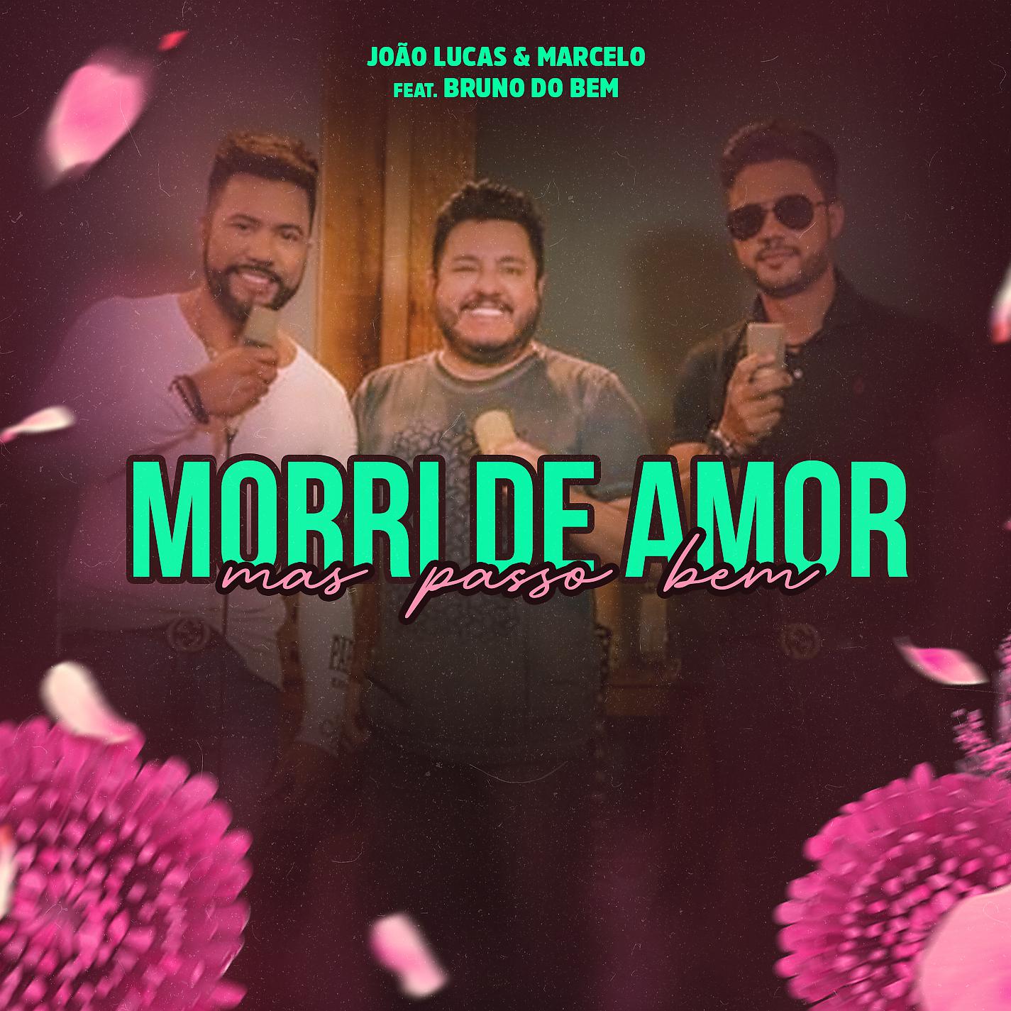 Постер альбома Morri de Amor Mas Passo Bem (feat. Bruno do Bem)