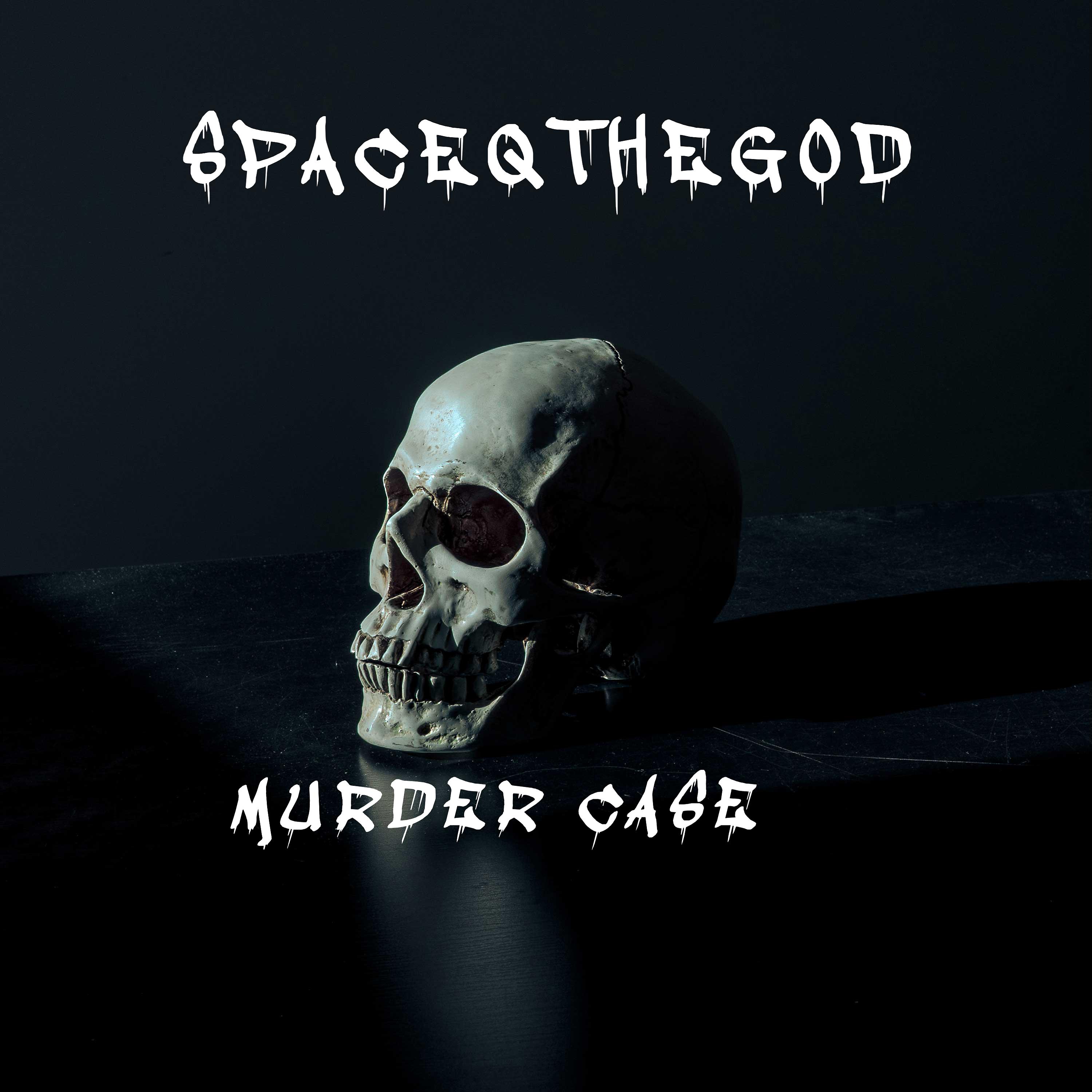Постер альбома Murder Case