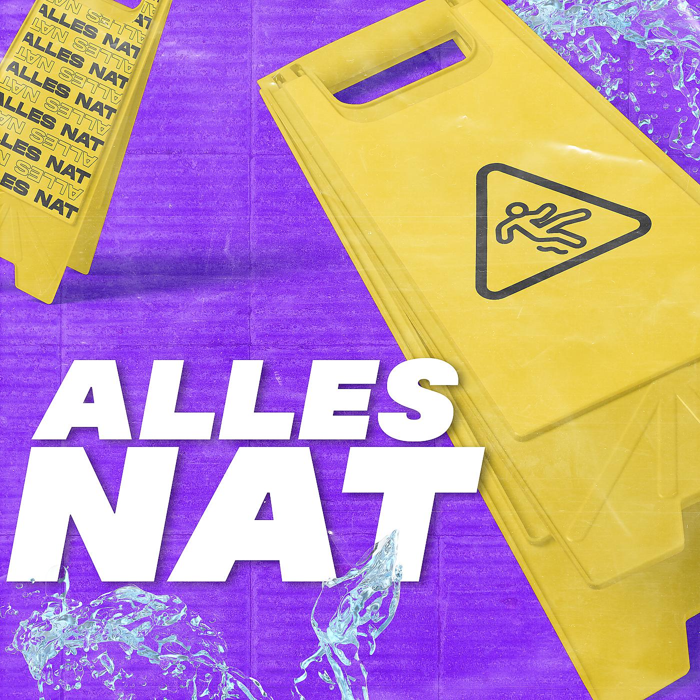 Постер альбома Alles Nat