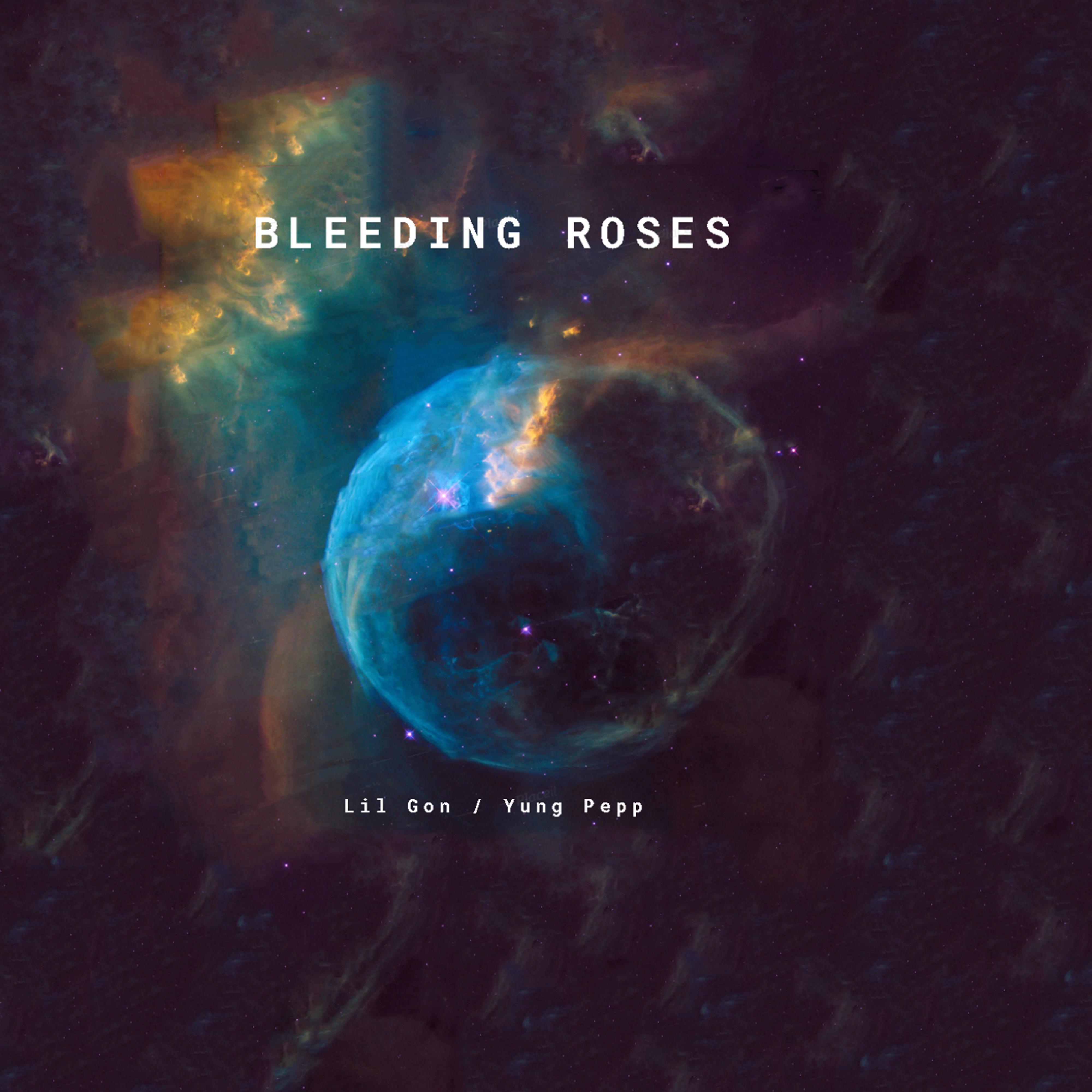 Постер альбома Bleeding Roses