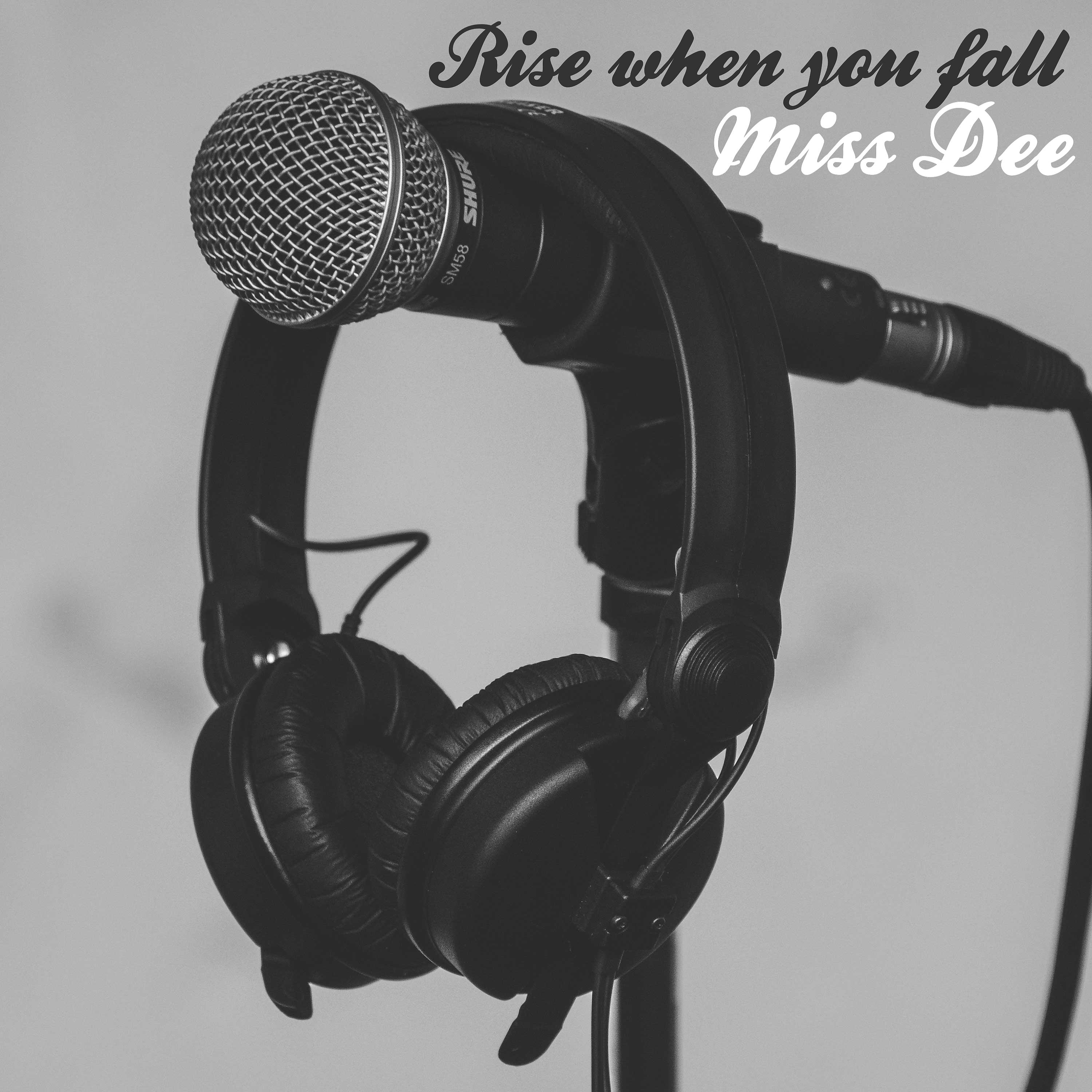 Постер альбома Rise when You Fall