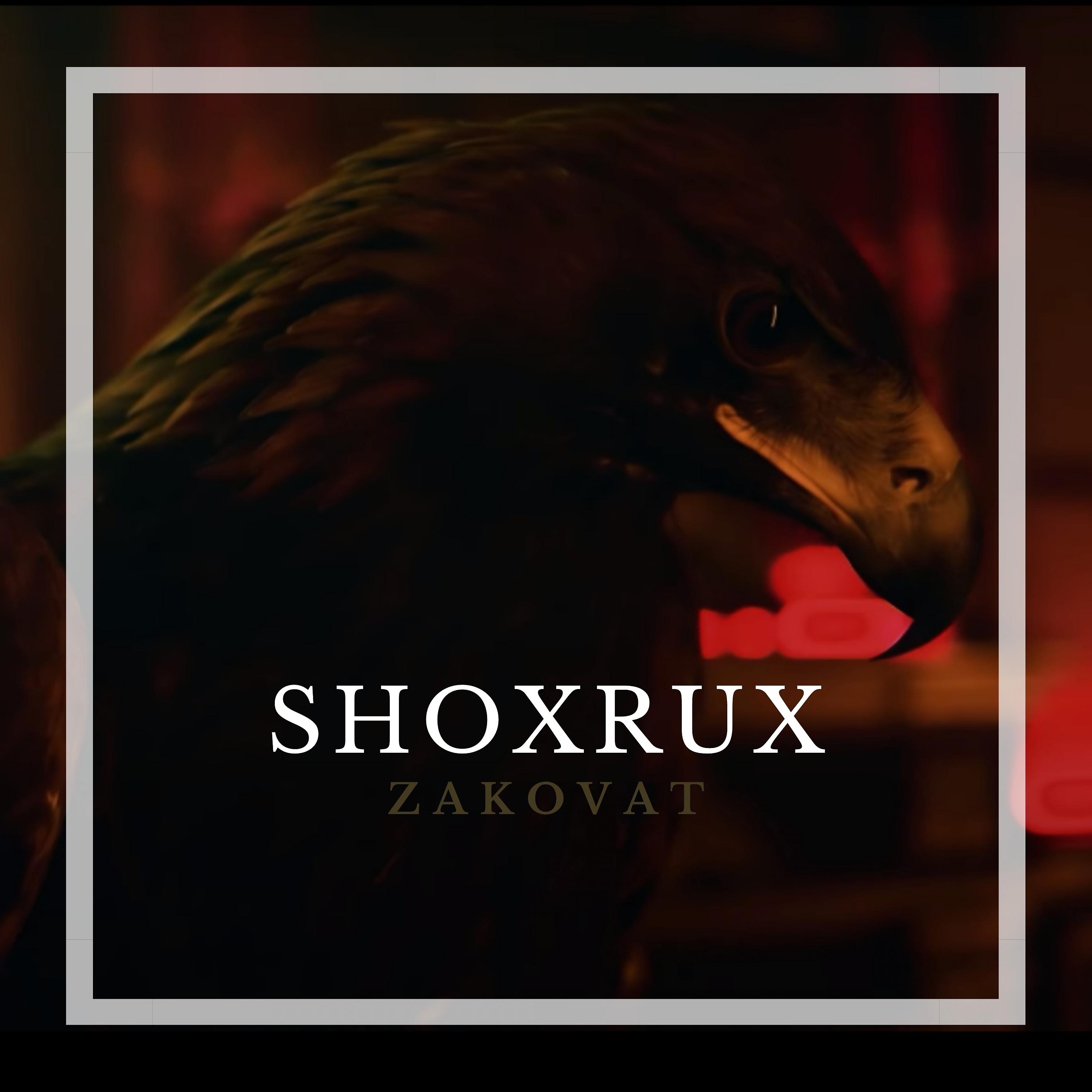 Постер альбома Zakovat