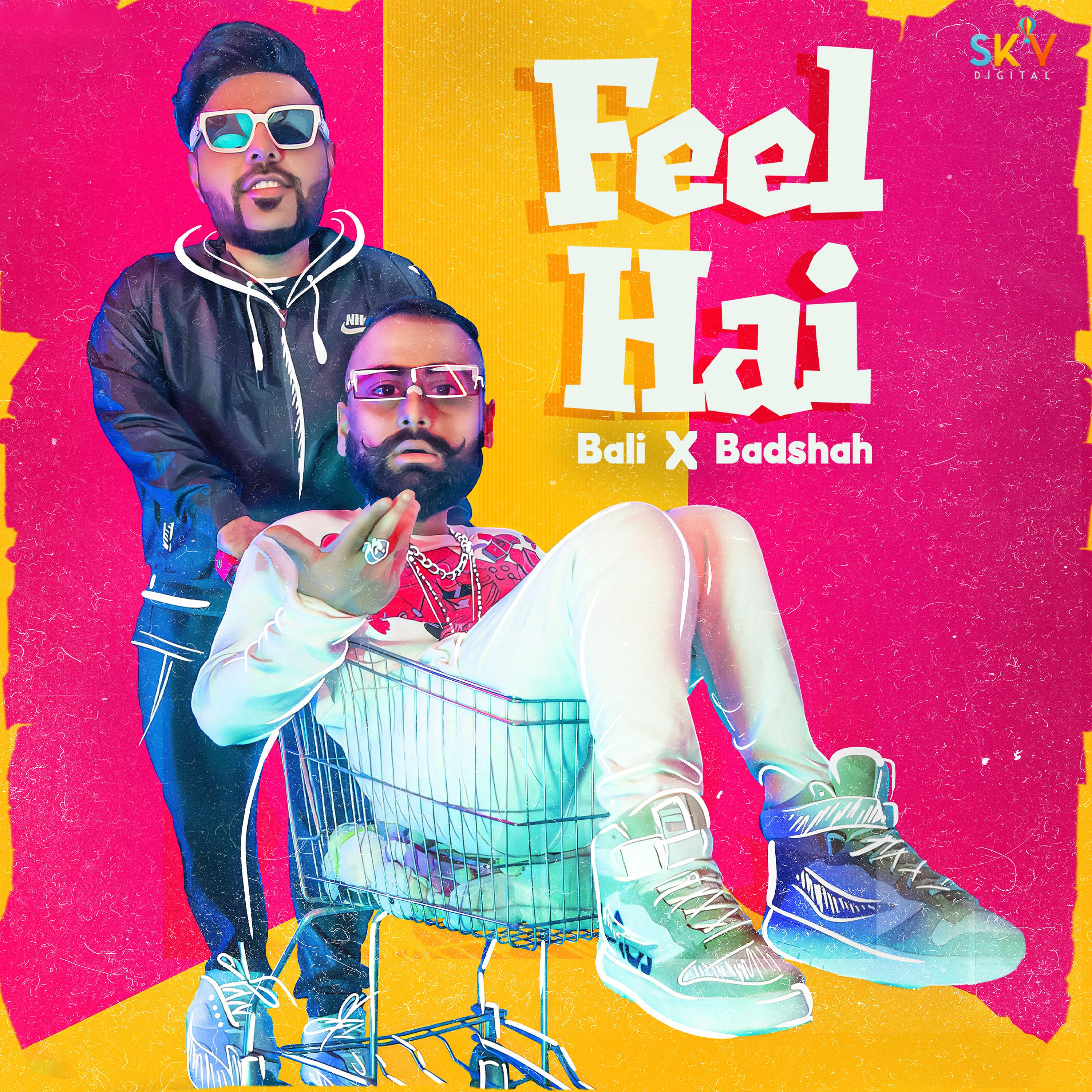 Постер альбома Feel Hai