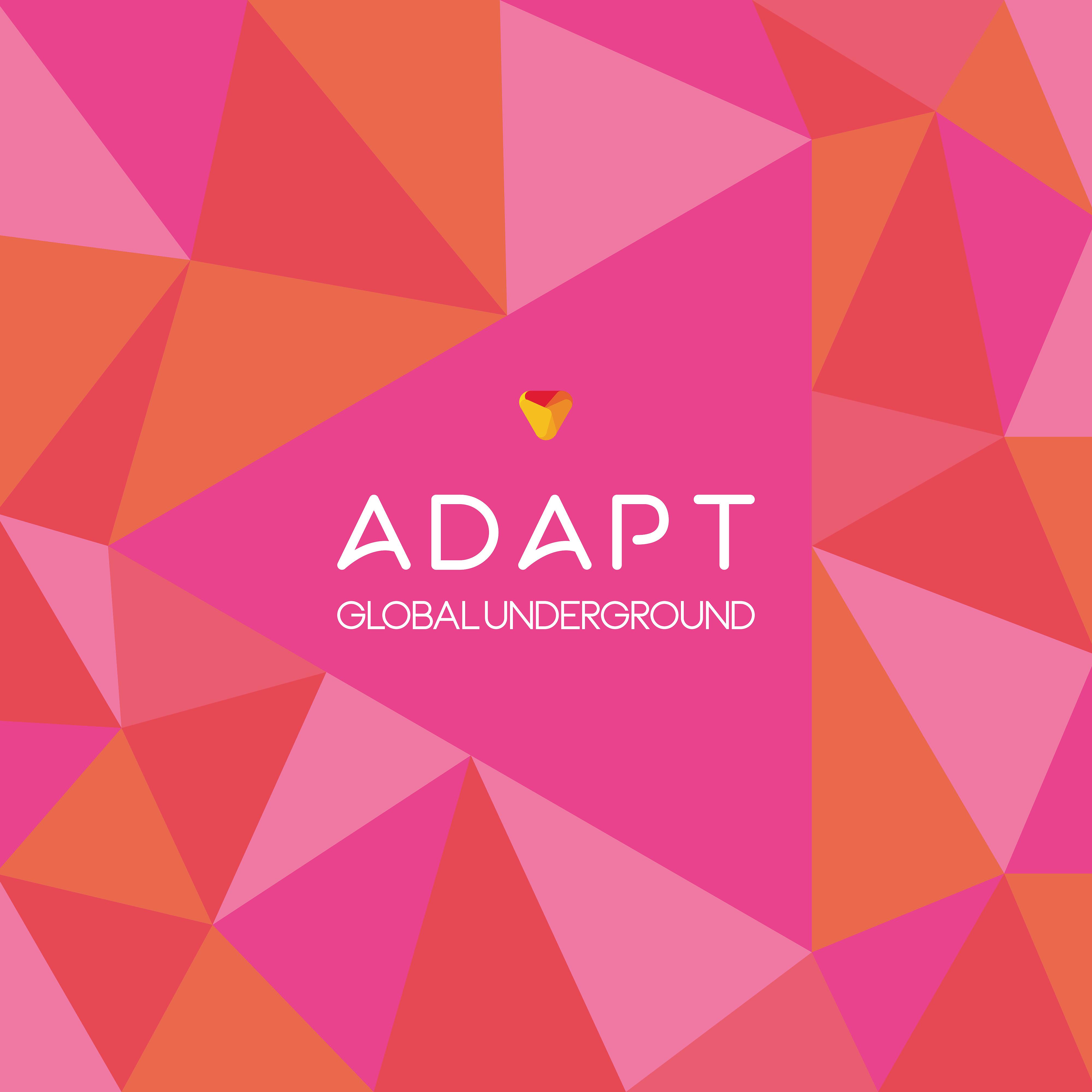 Постер альбома Global Underground: Adapt #5 (Mixed)