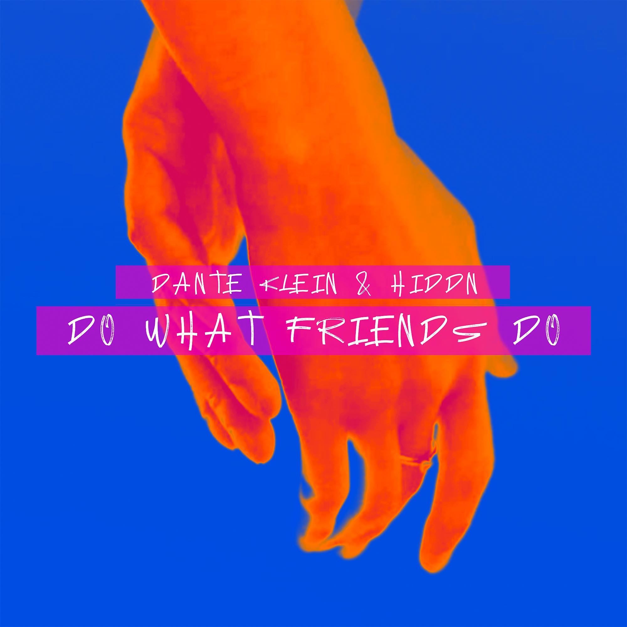 Постер альбома Do What Friends Do (feat. HAVENN)