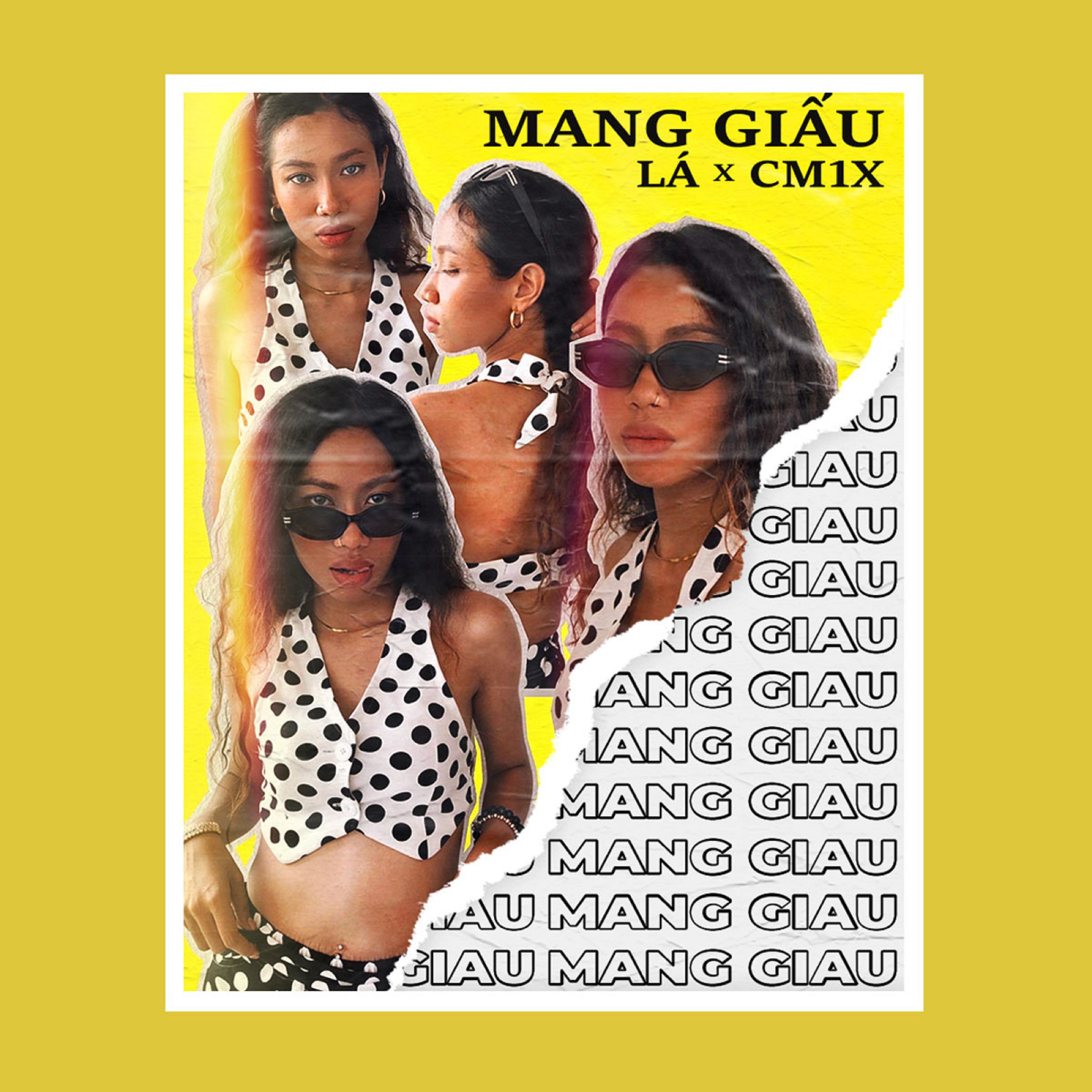 Постер альбома Mang Giấu