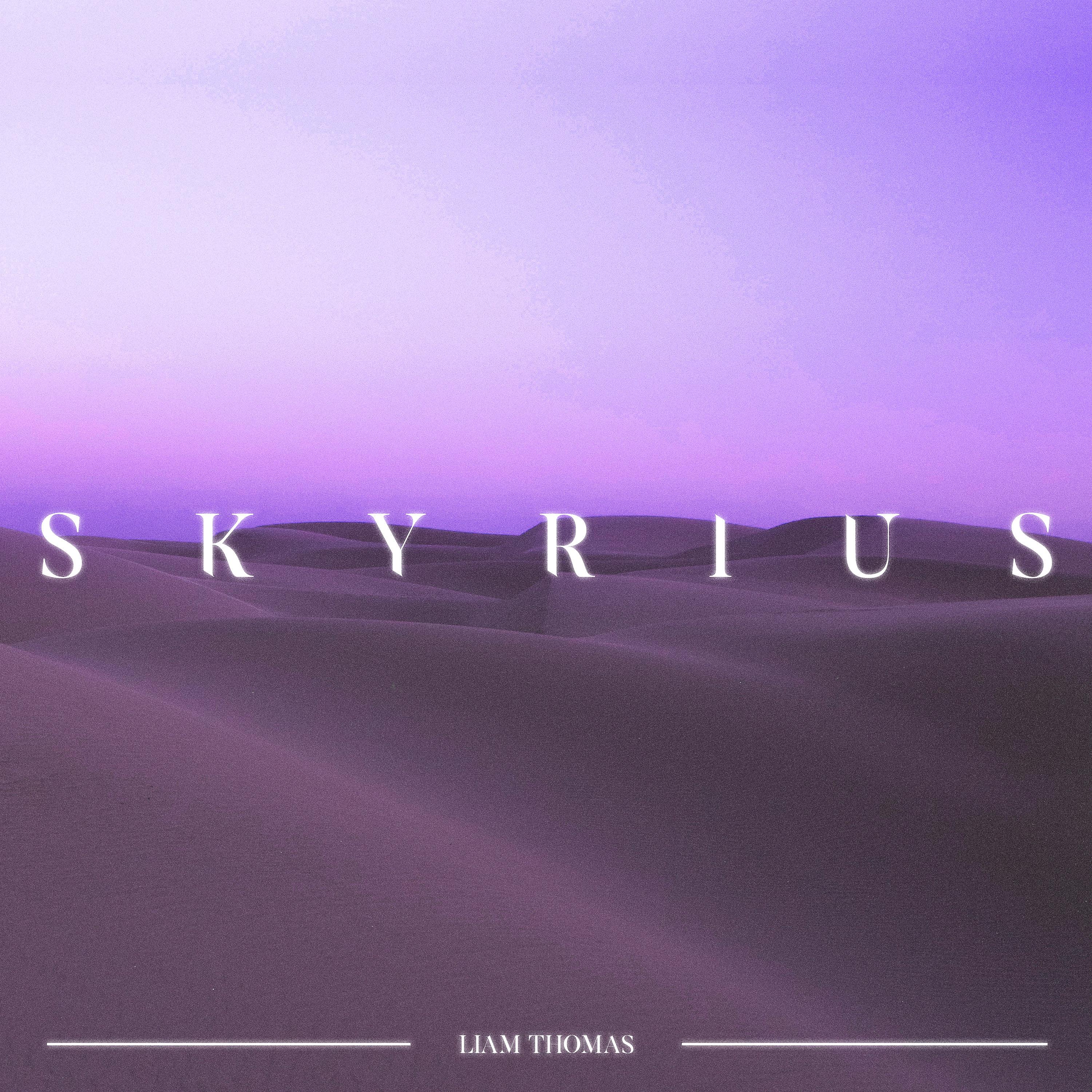 Постер альбома Skyrius