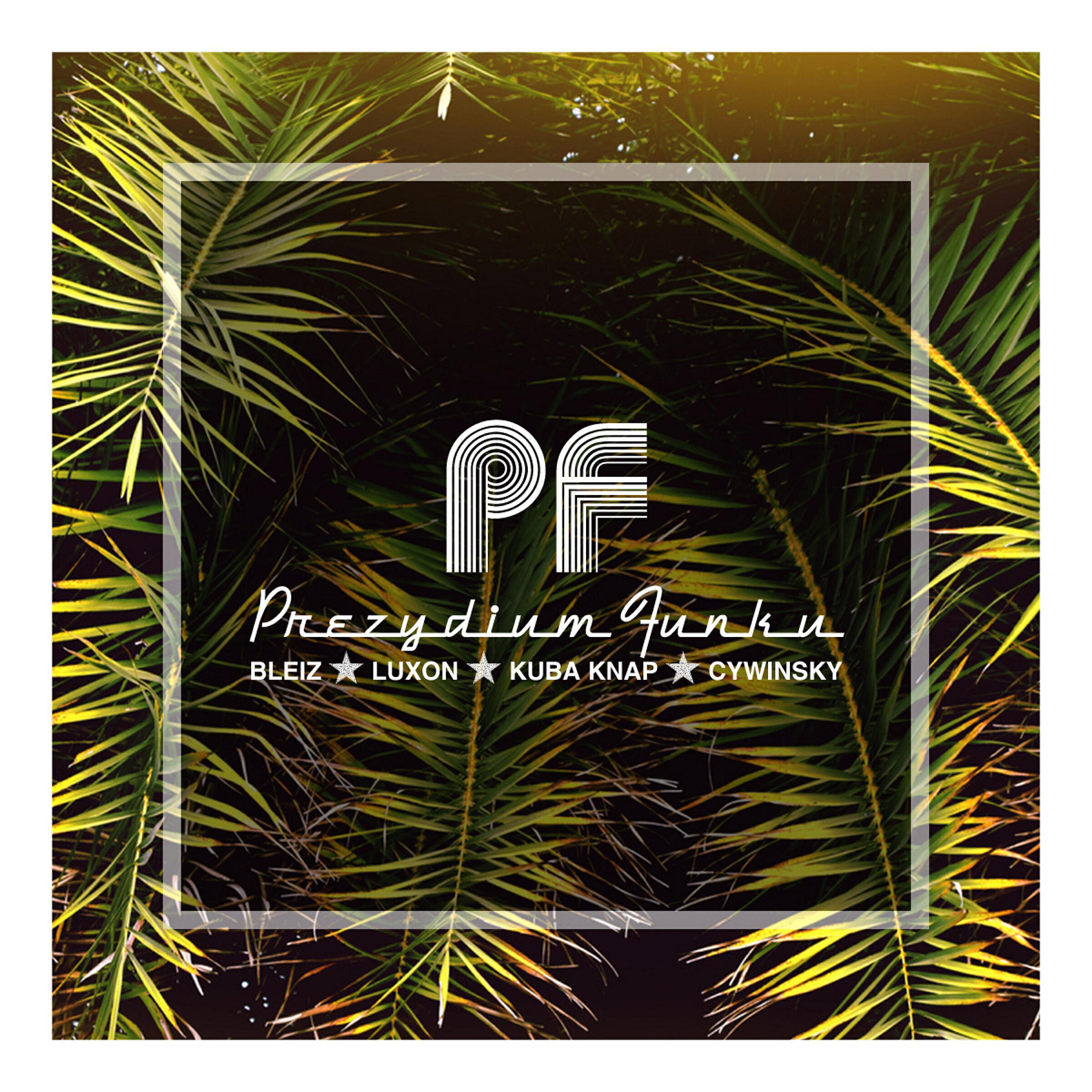 Bleiz - Prezydium Funku