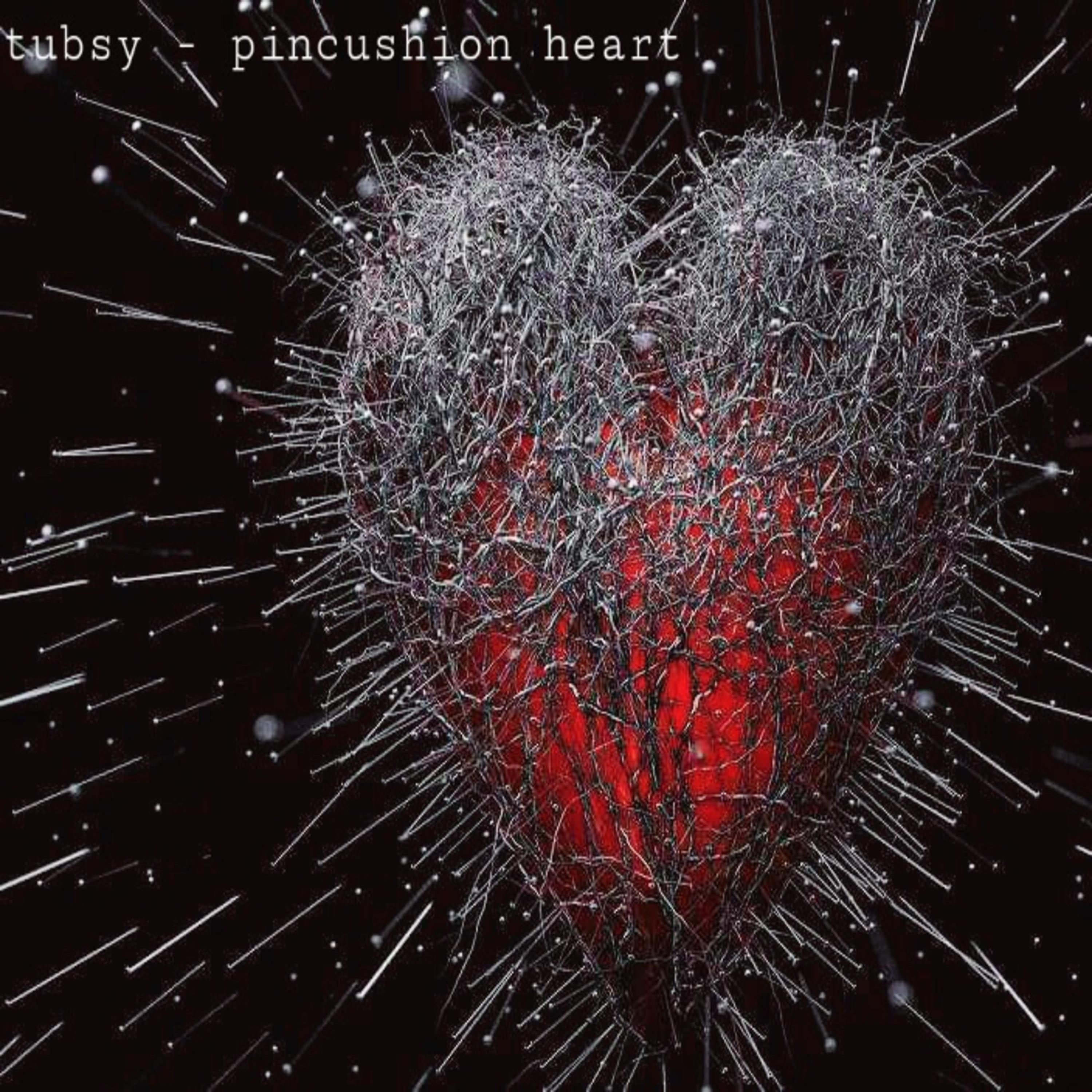 Постер альбома Pincushion Heart