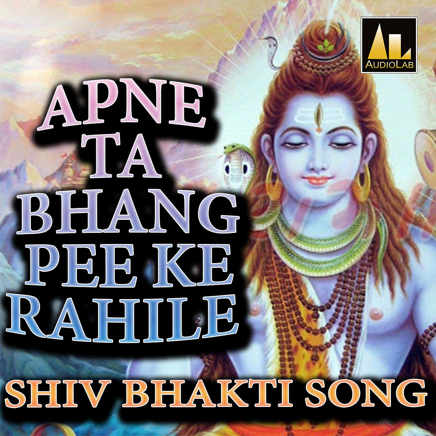 Постер альбома APNE TA BHANG PEE KE RAHILE SHIV BHAKTI SONG