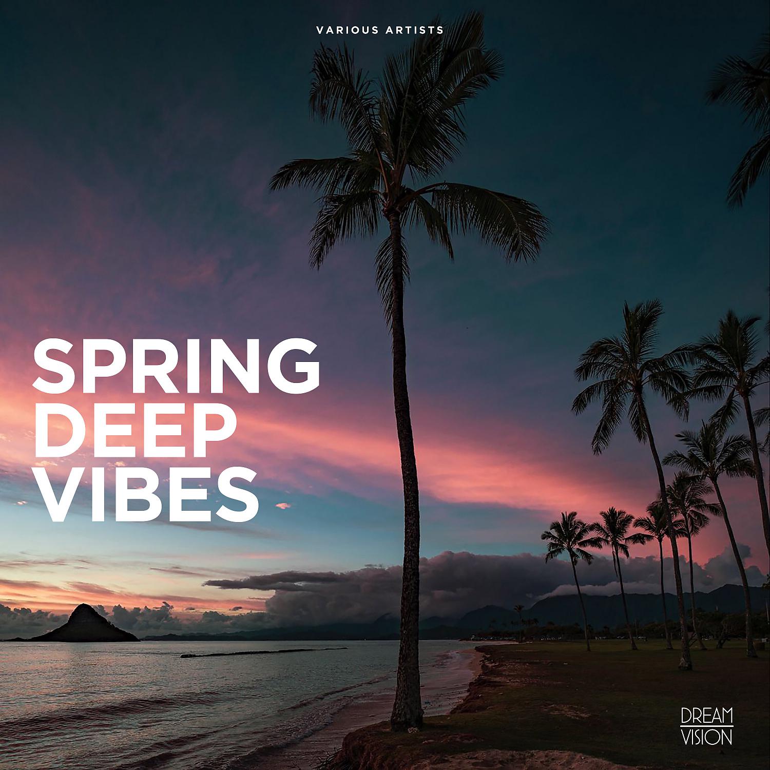 Постер альбома Spring Deep Vibes