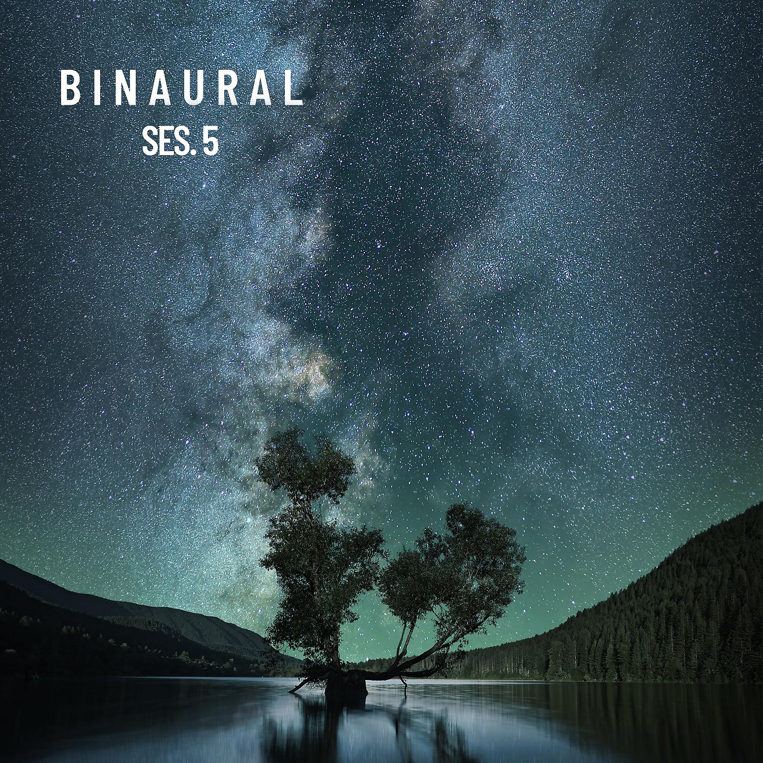Постер альбома Binaural, Beats binaurales para domir profundo, Vol. 5