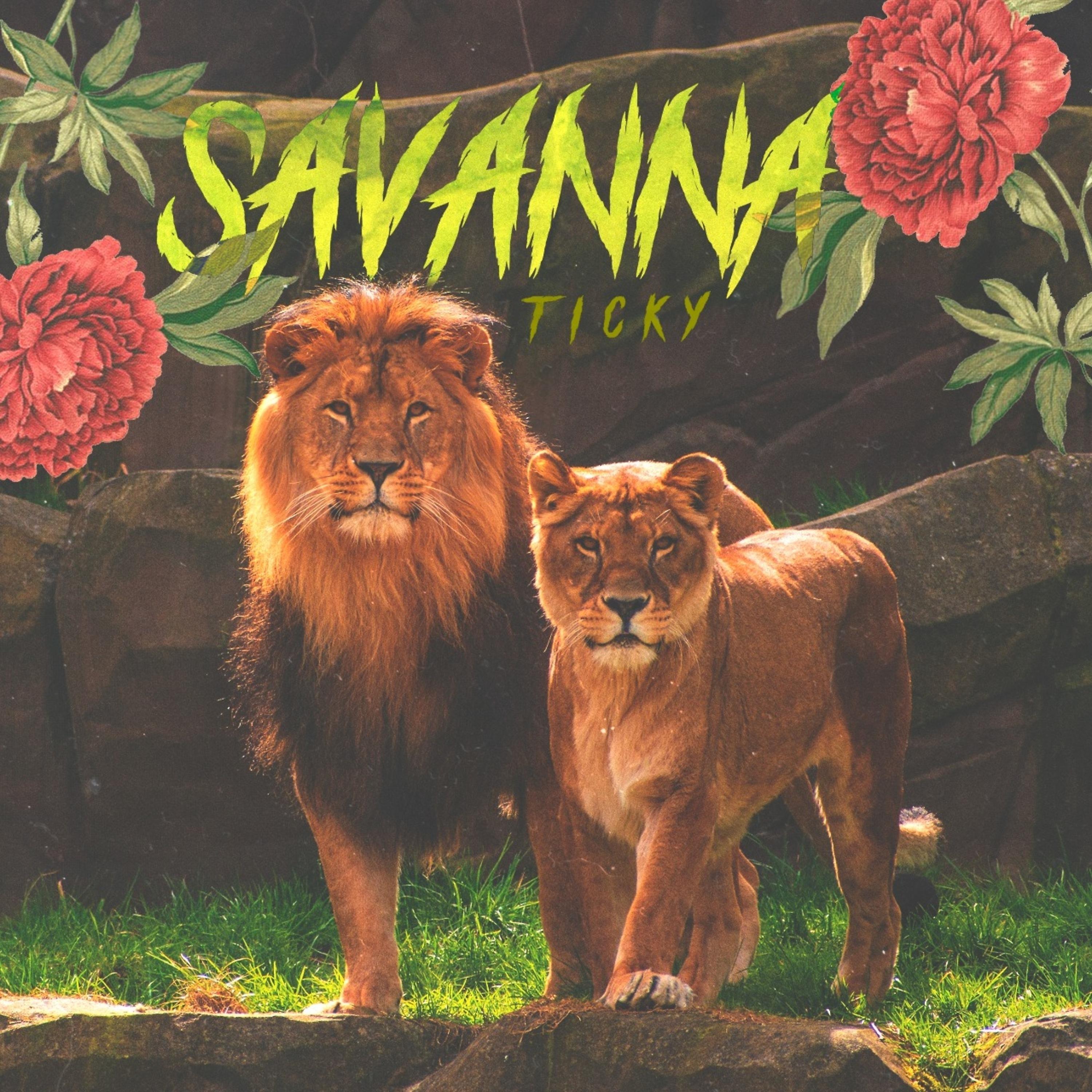 Постер альбома Savanna