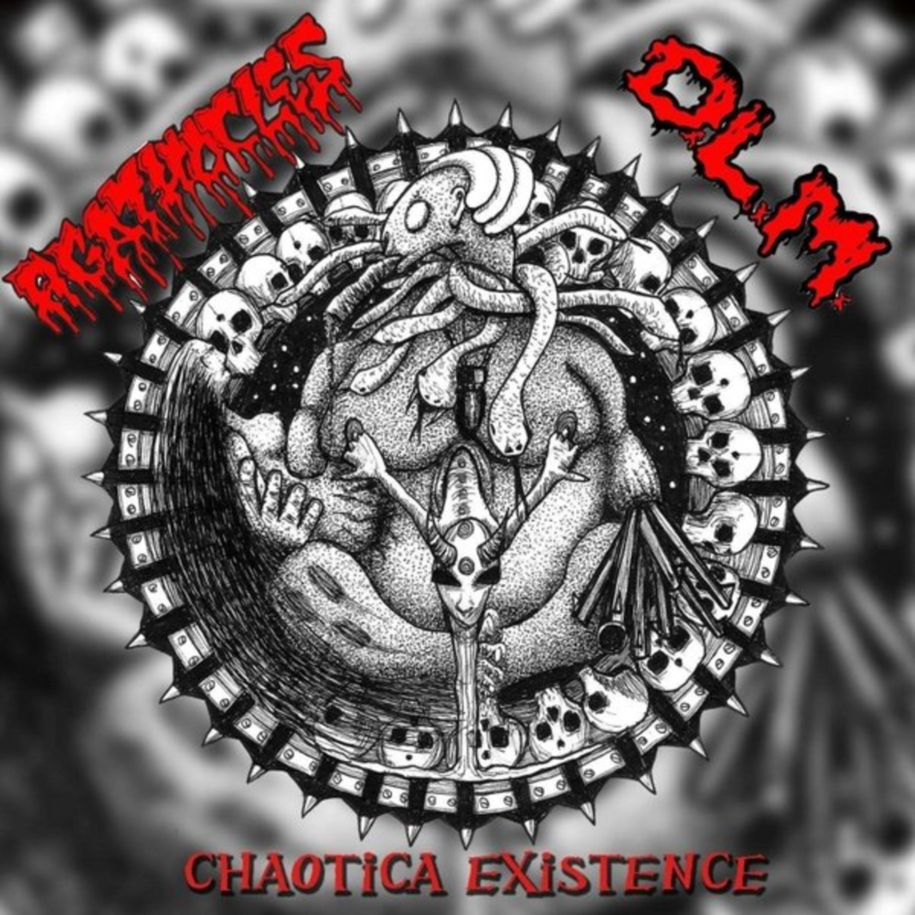 Постер альбома Chaotica Existence