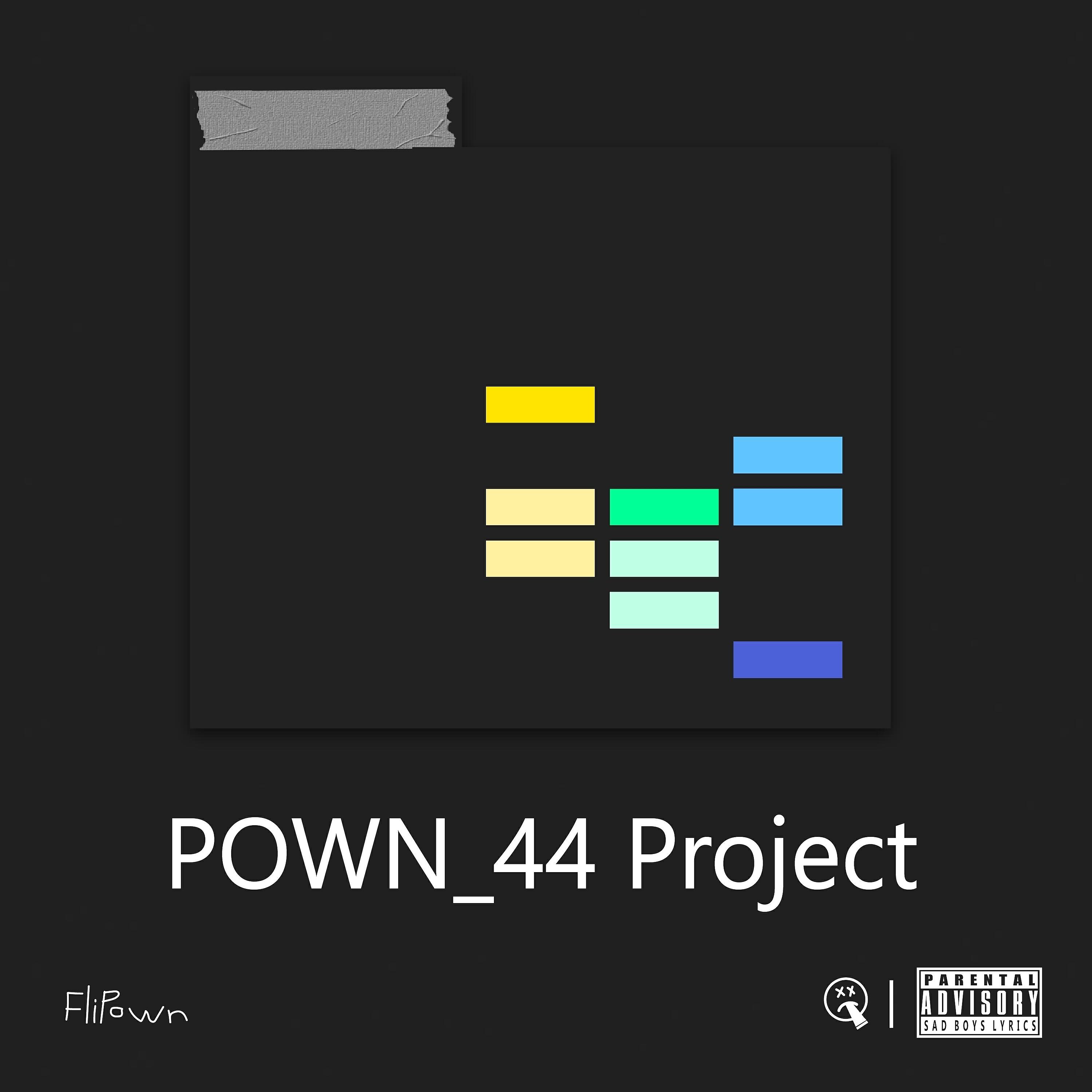 Постер альбома Pown_44 Project