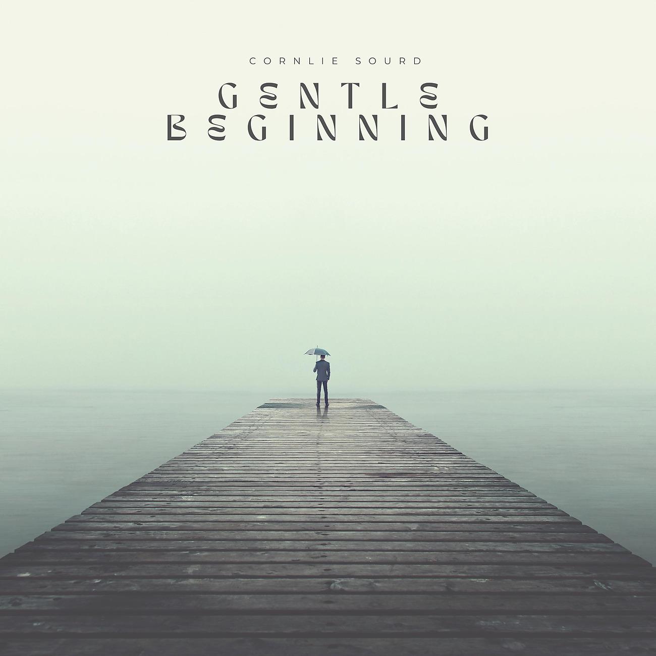 Постер альбома Gentle Beginning