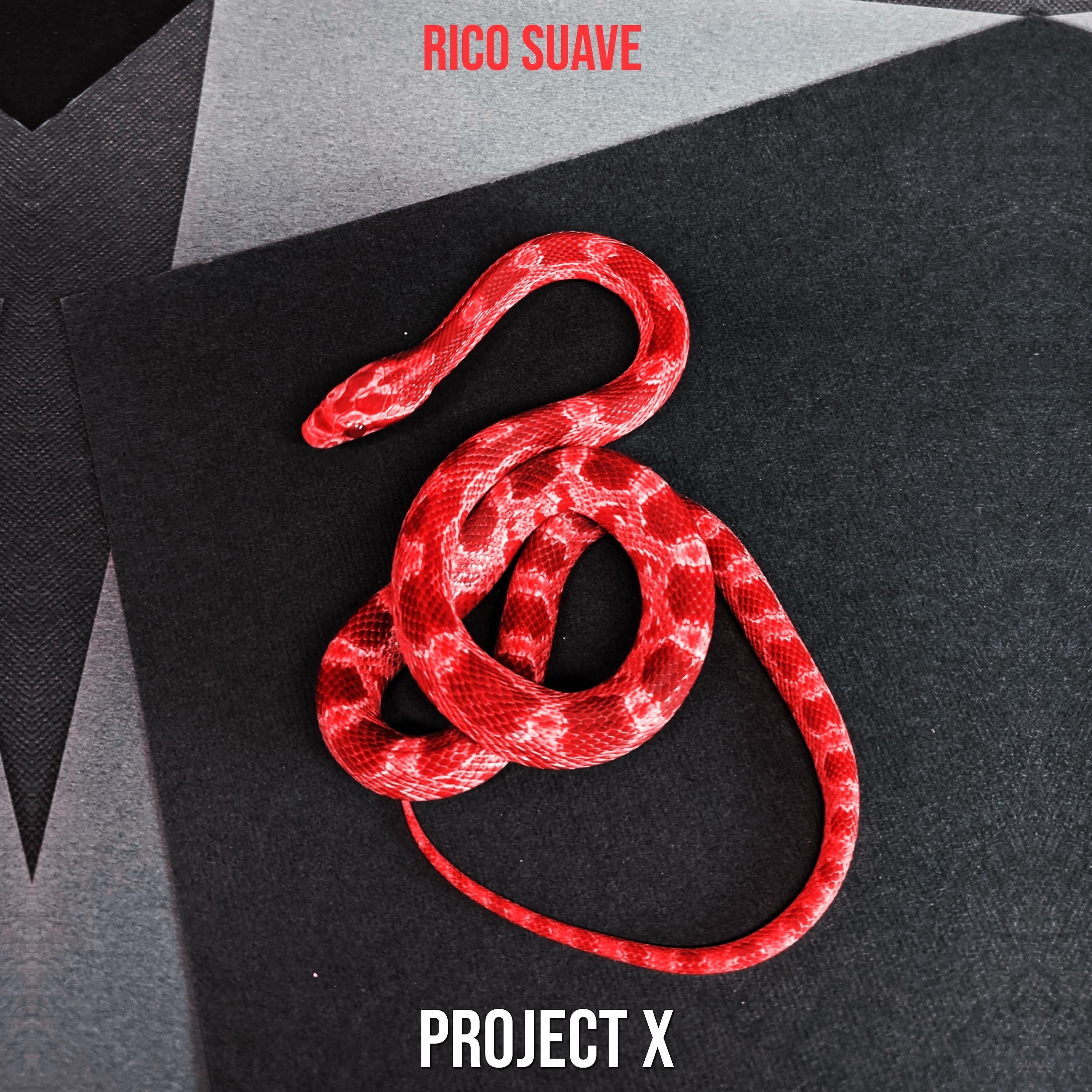 Постер альбома Project X