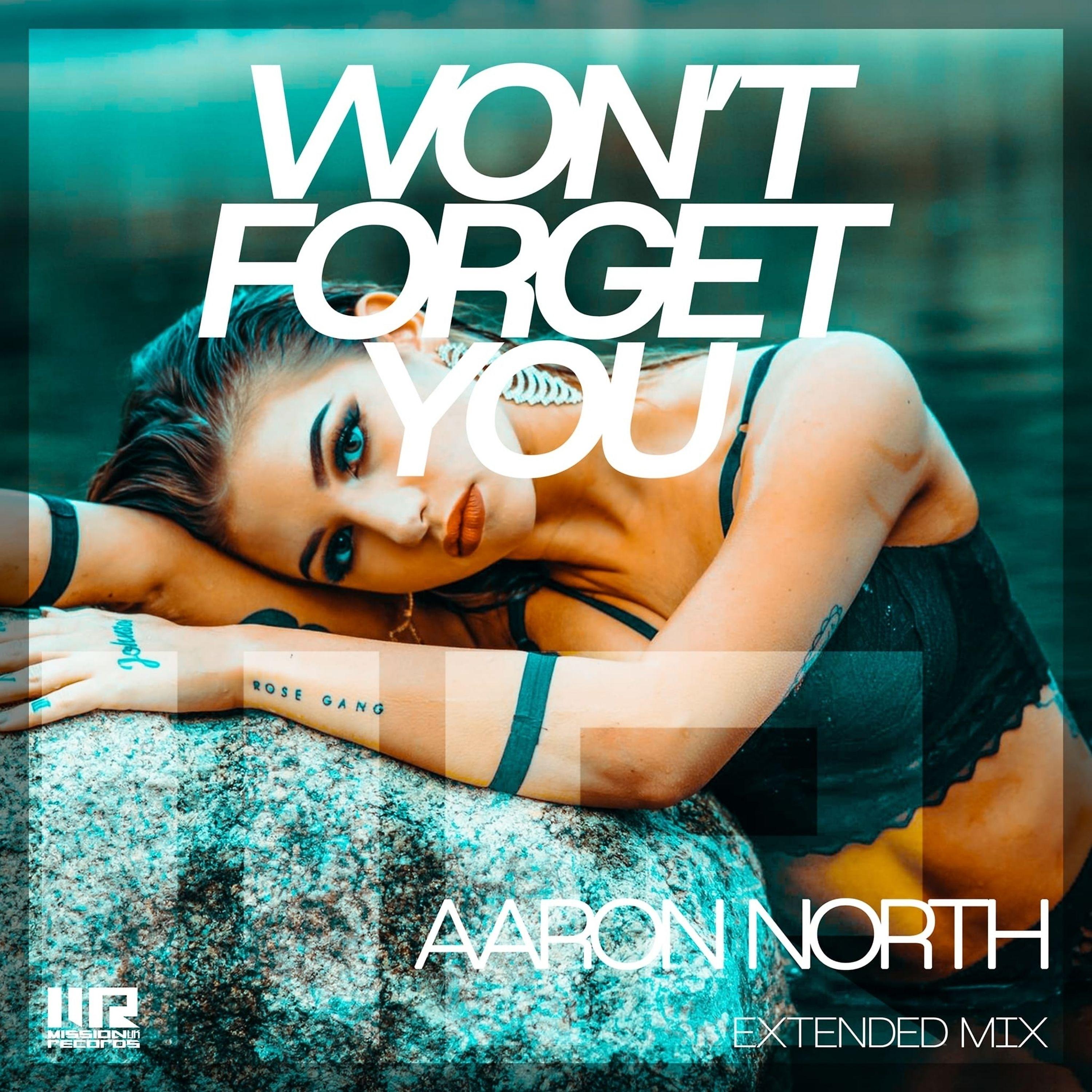 Постер альбома Won't Forget You (Extended Mix)