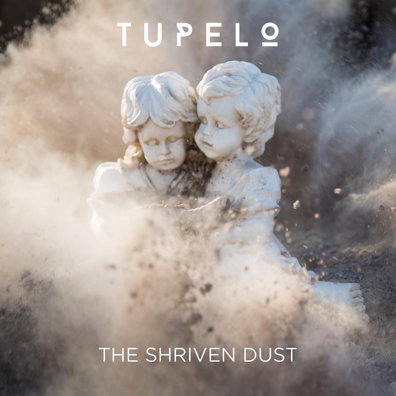 Постер альбома The Shriven Dust