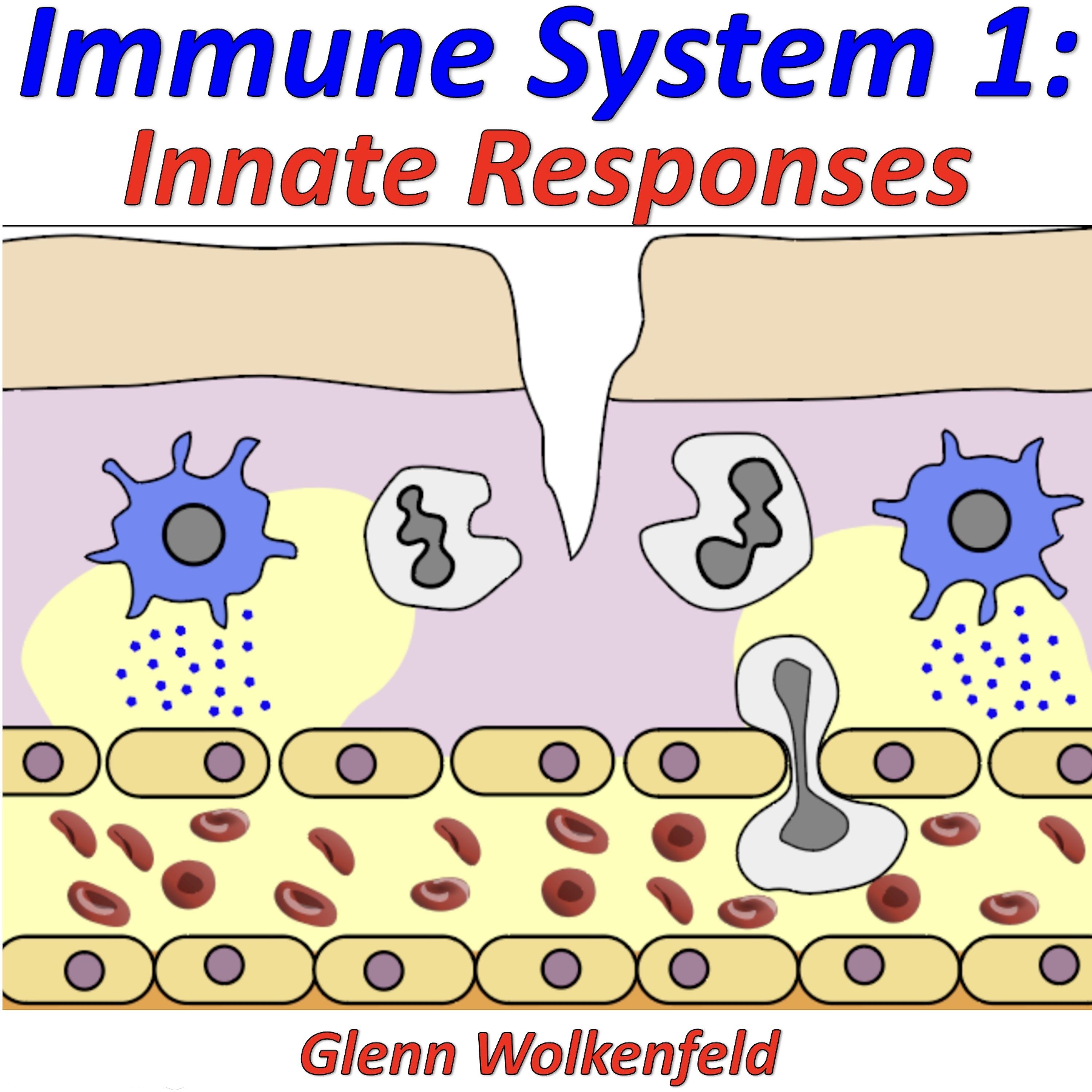 Постер альбома Immune System 1: Innate Responses