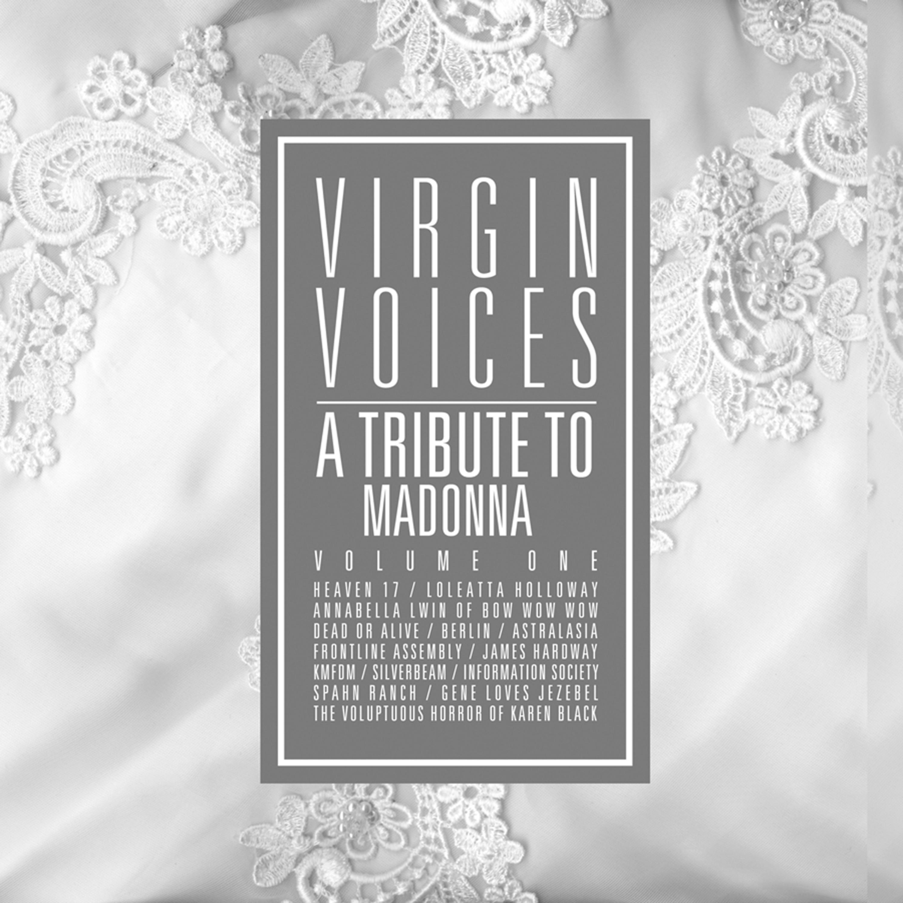 Постер альбома A Tribute to Madonna: Virgin Voices