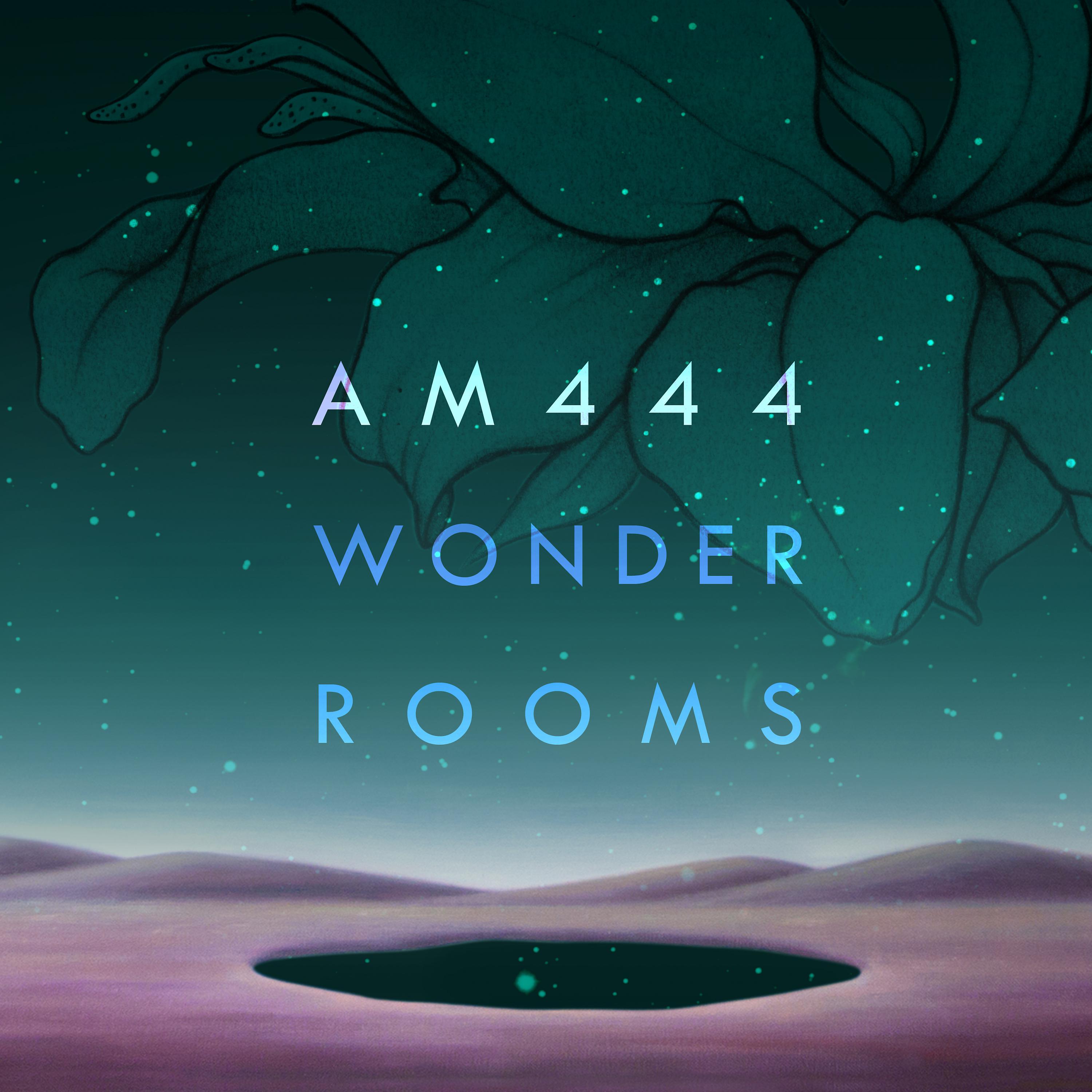 Постер альбома Wonder Rooms