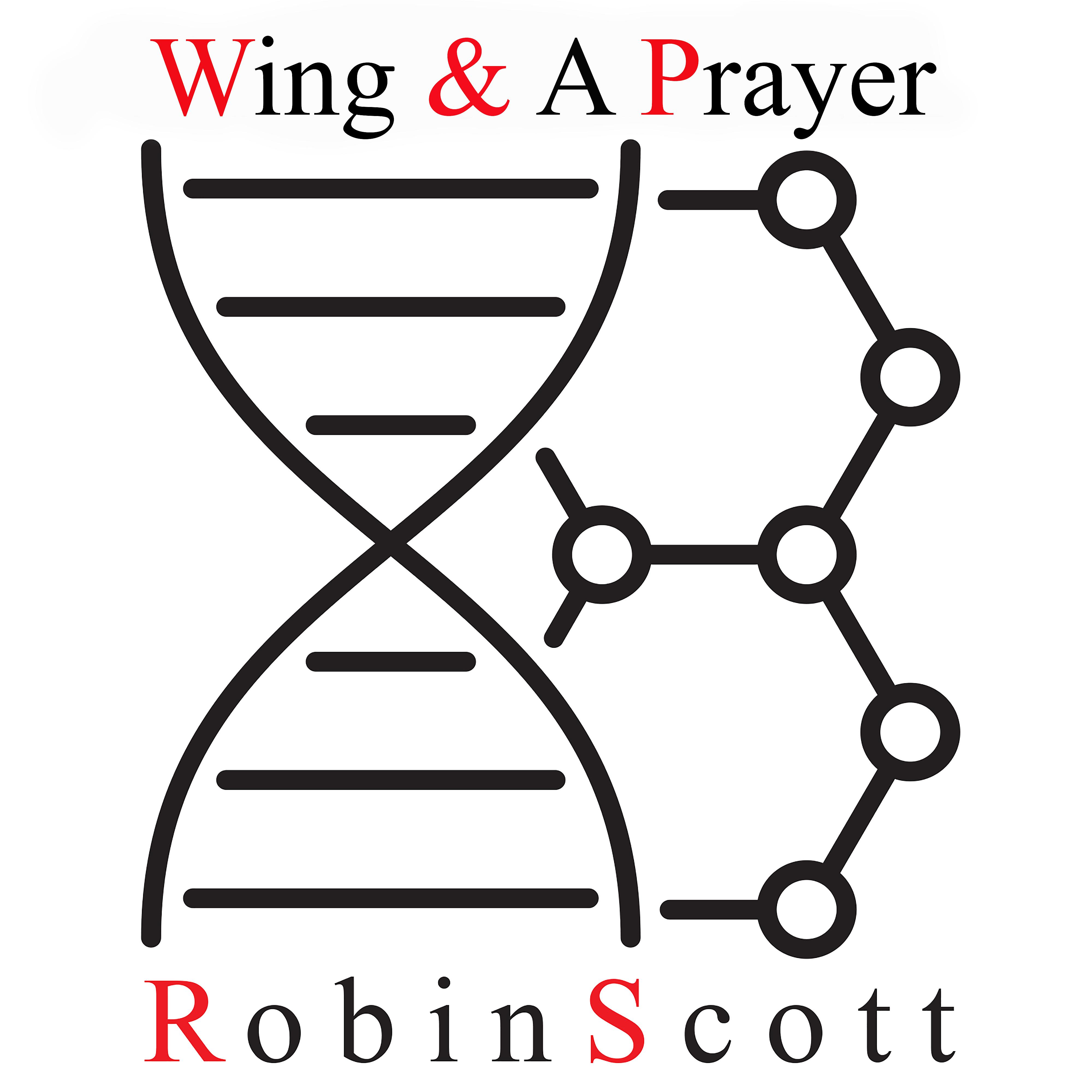Постер альбома Wing & A Prayer