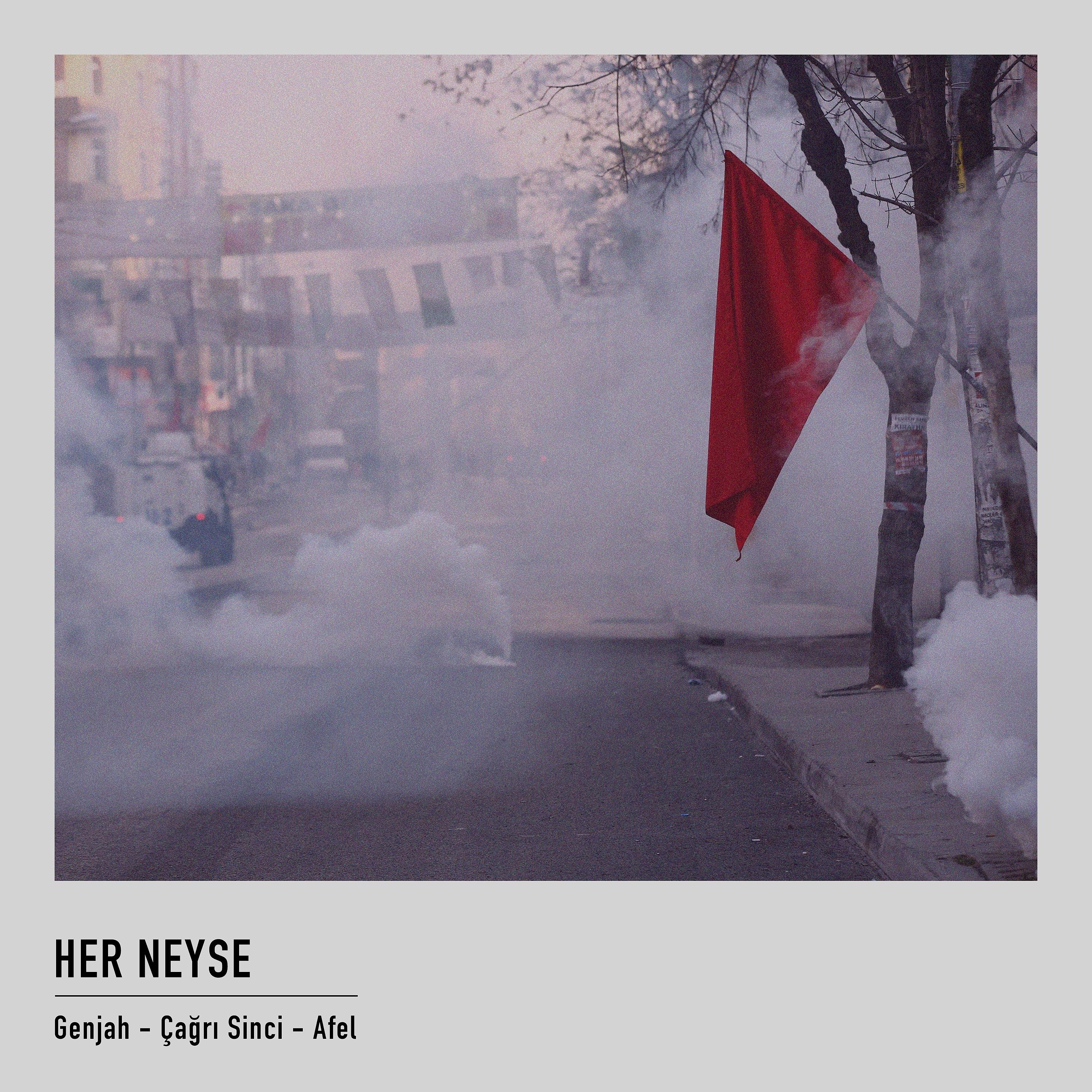 Постер альбома Her Neyse