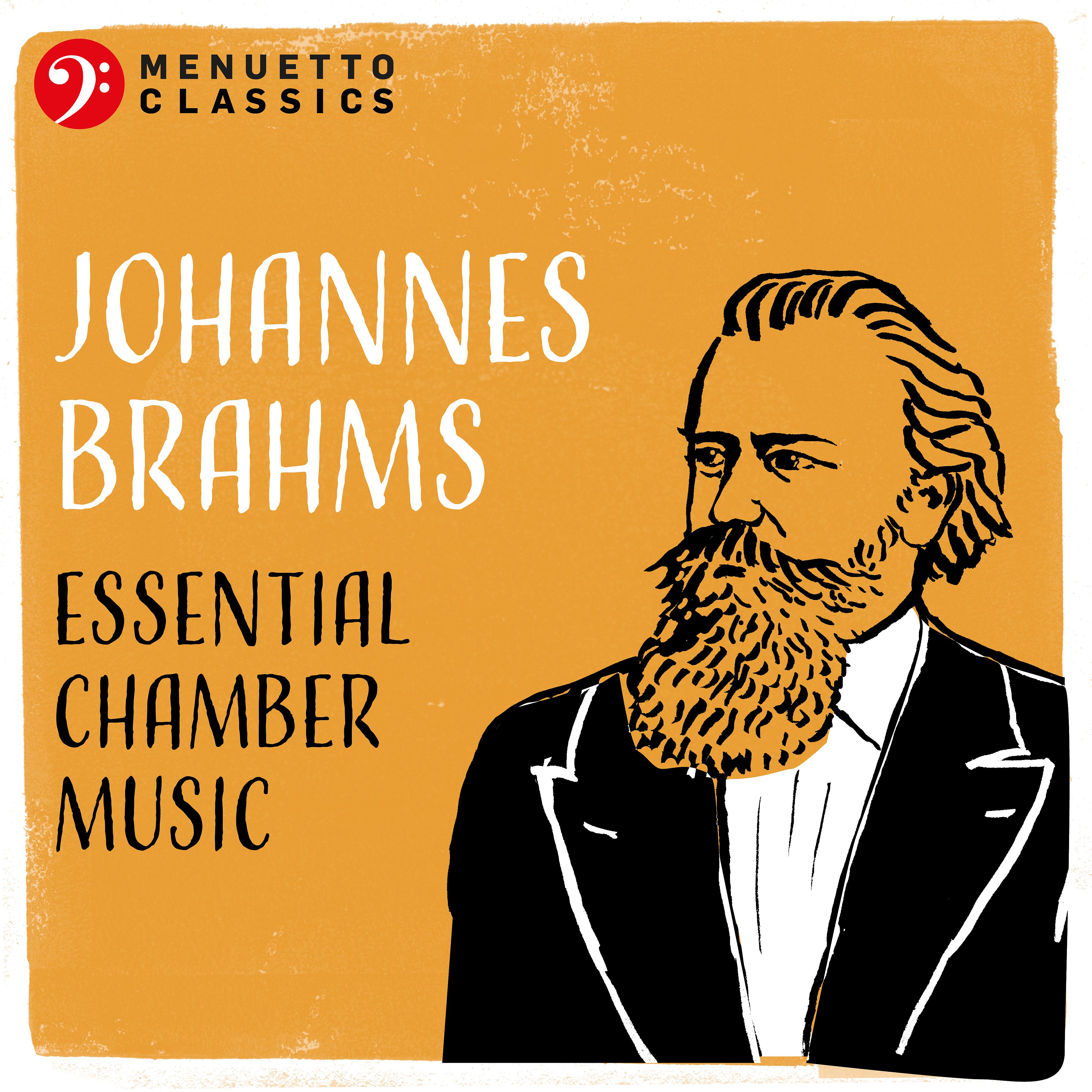 Постер альбома Johannes Brahms: Essential Chamber Music