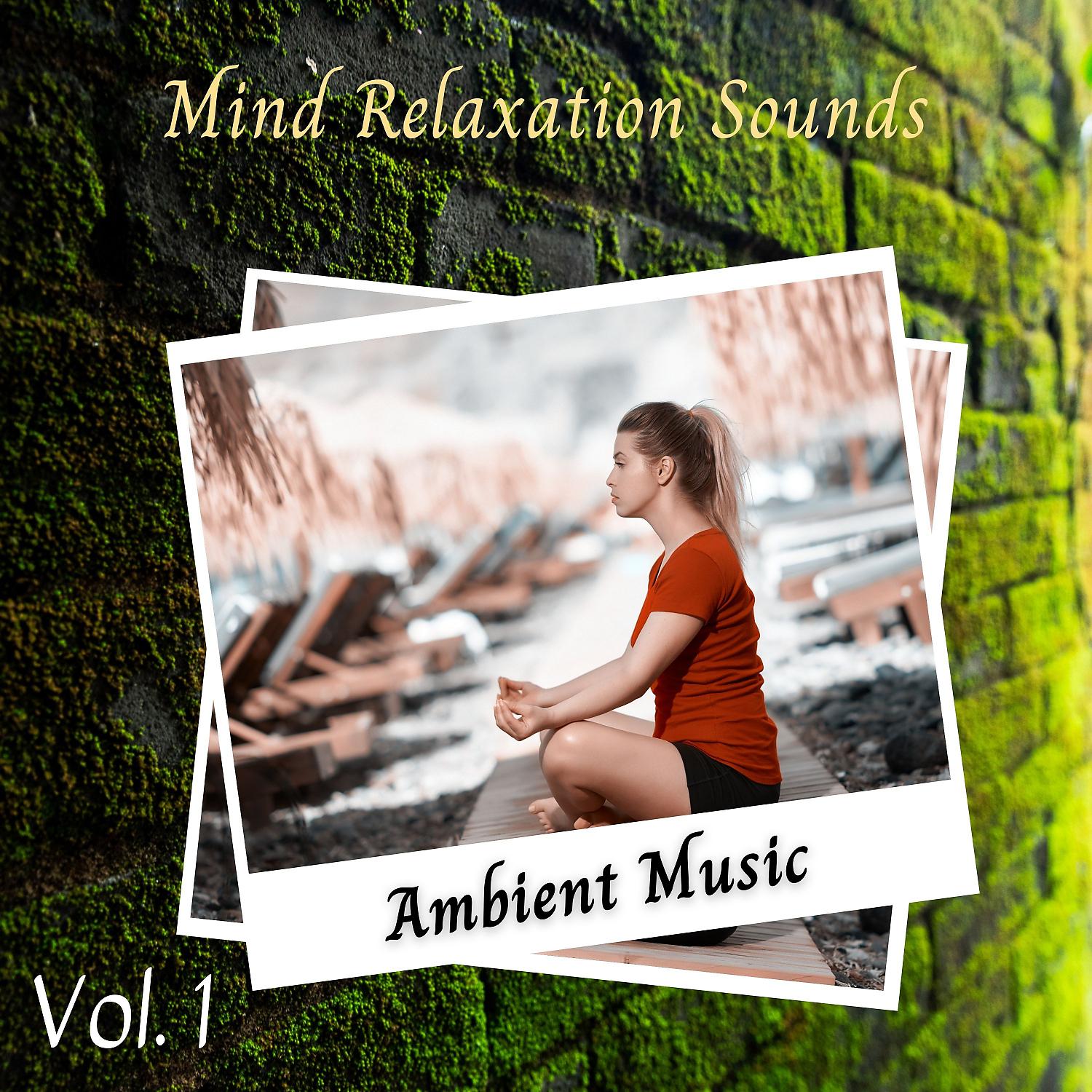 Постер альбома Ambient Music: Mind Relaxation Sounds Vol. 1