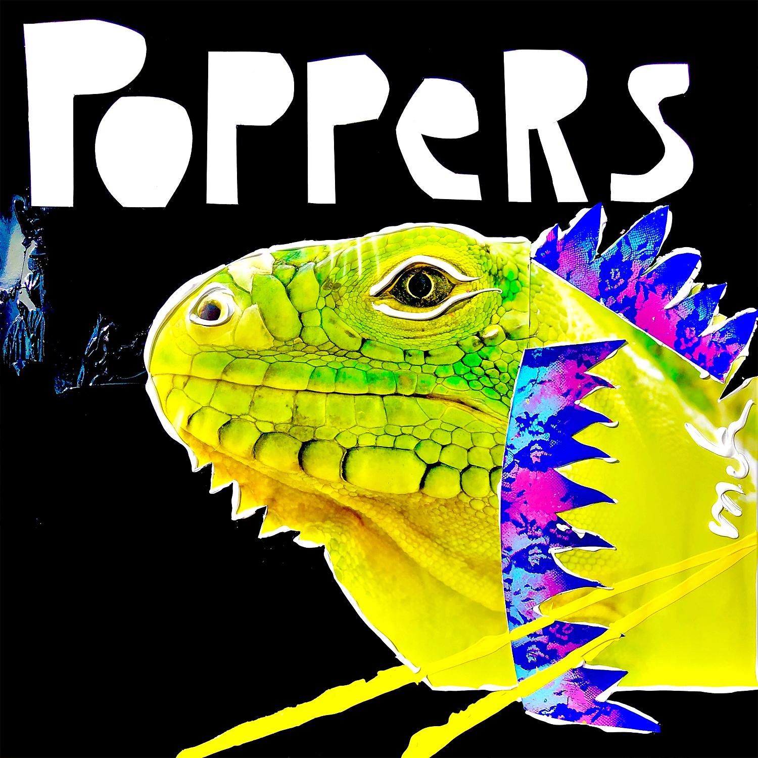 Постер альбома Poppers