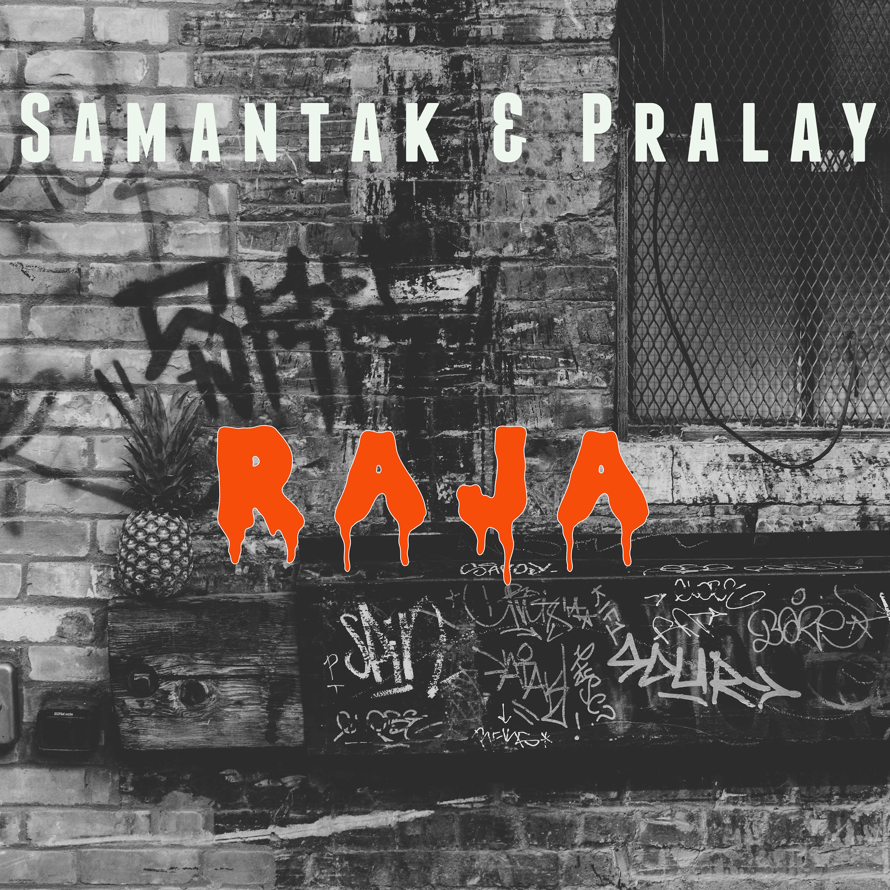 Постер альбома Raja