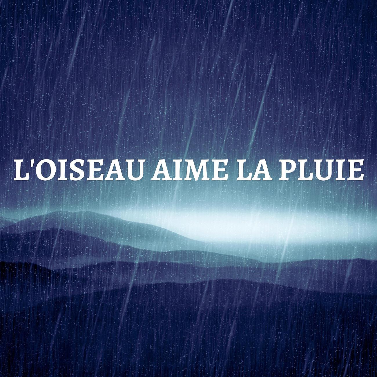 Постер альбома L'oiseau Aime La Pluie