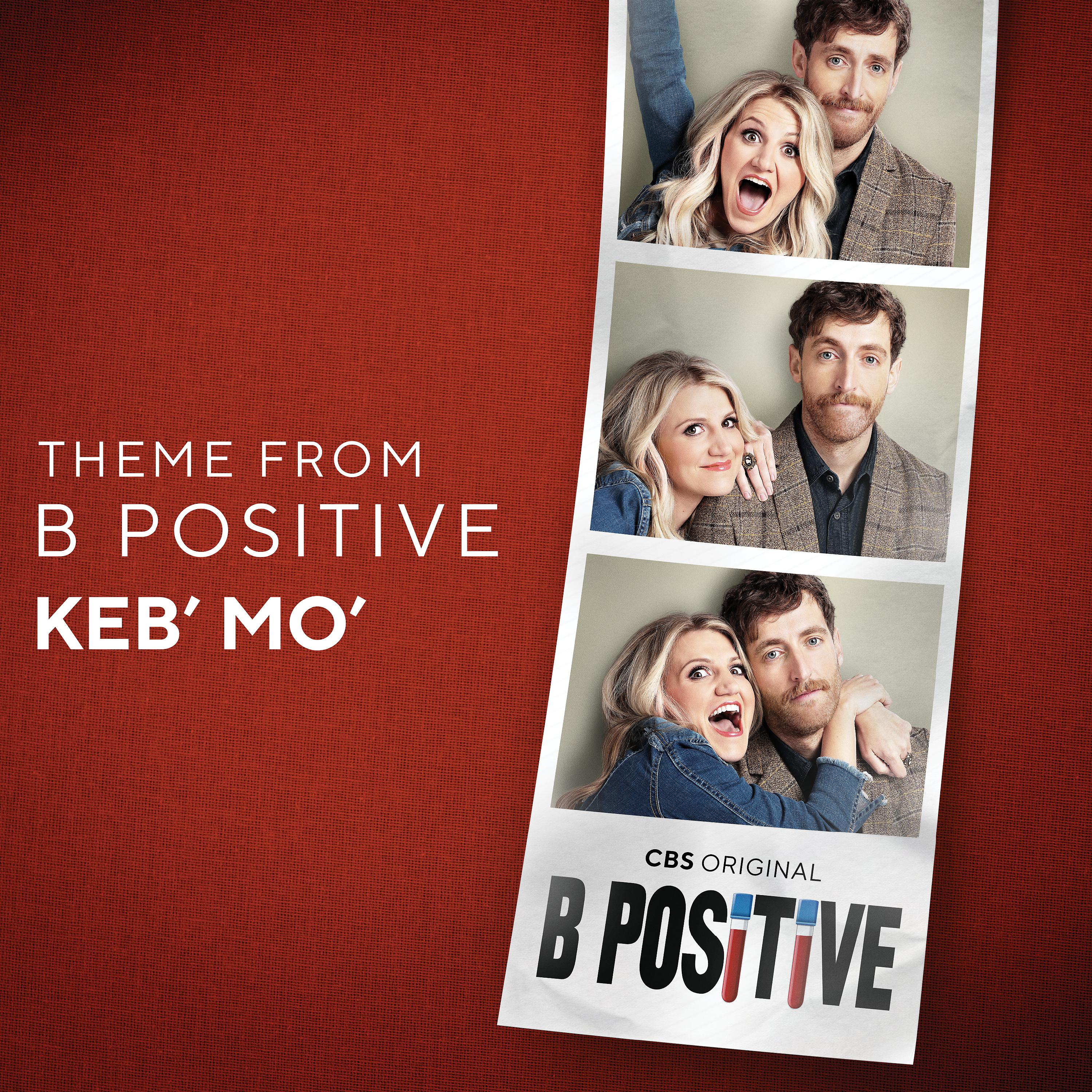 Постер альбома Theme from B Positive