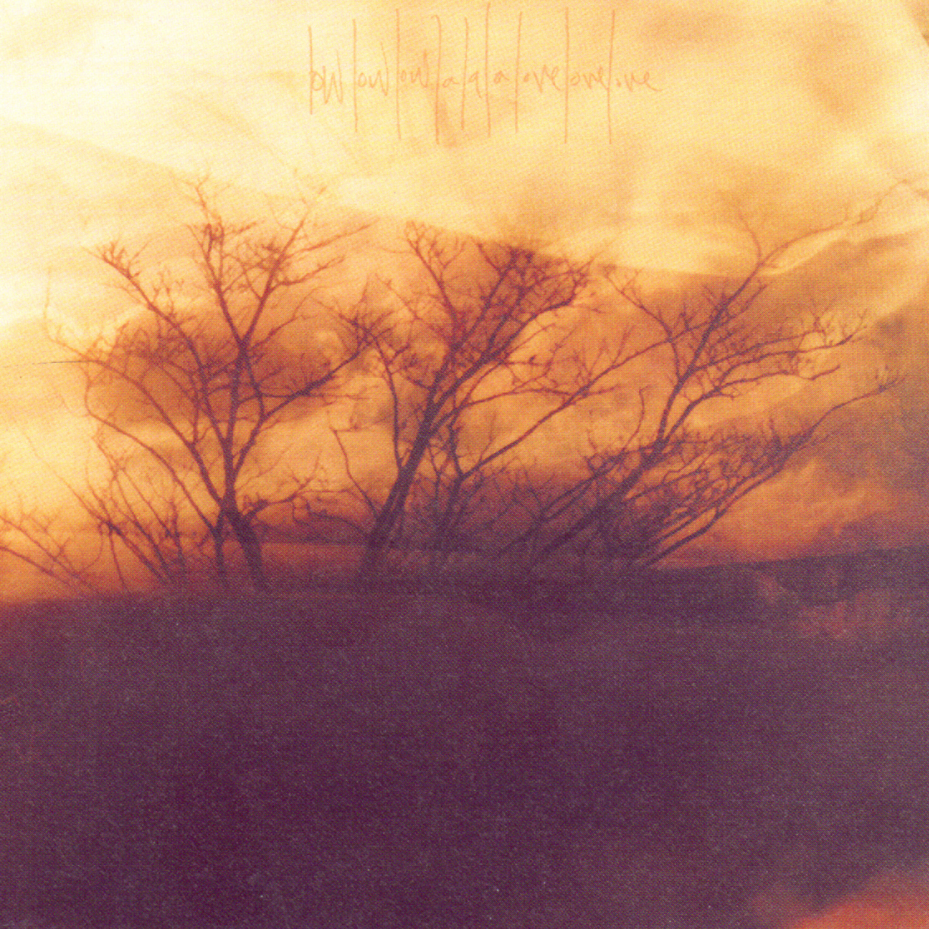 Low Low Low La La La Love Love Love - Venus In The Evening I Have Disappeared Again