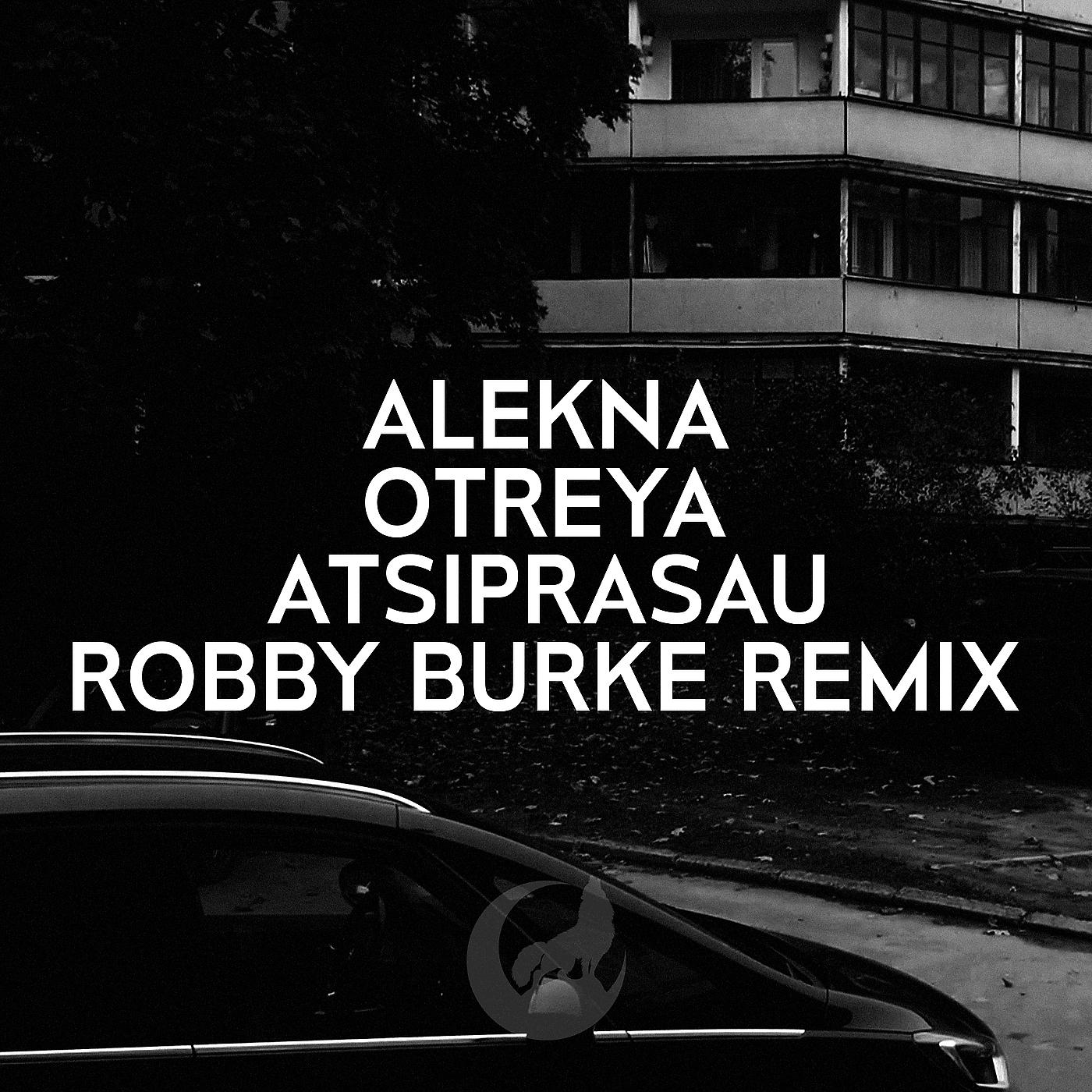 Постер альбома Atsiprašau (Remix)