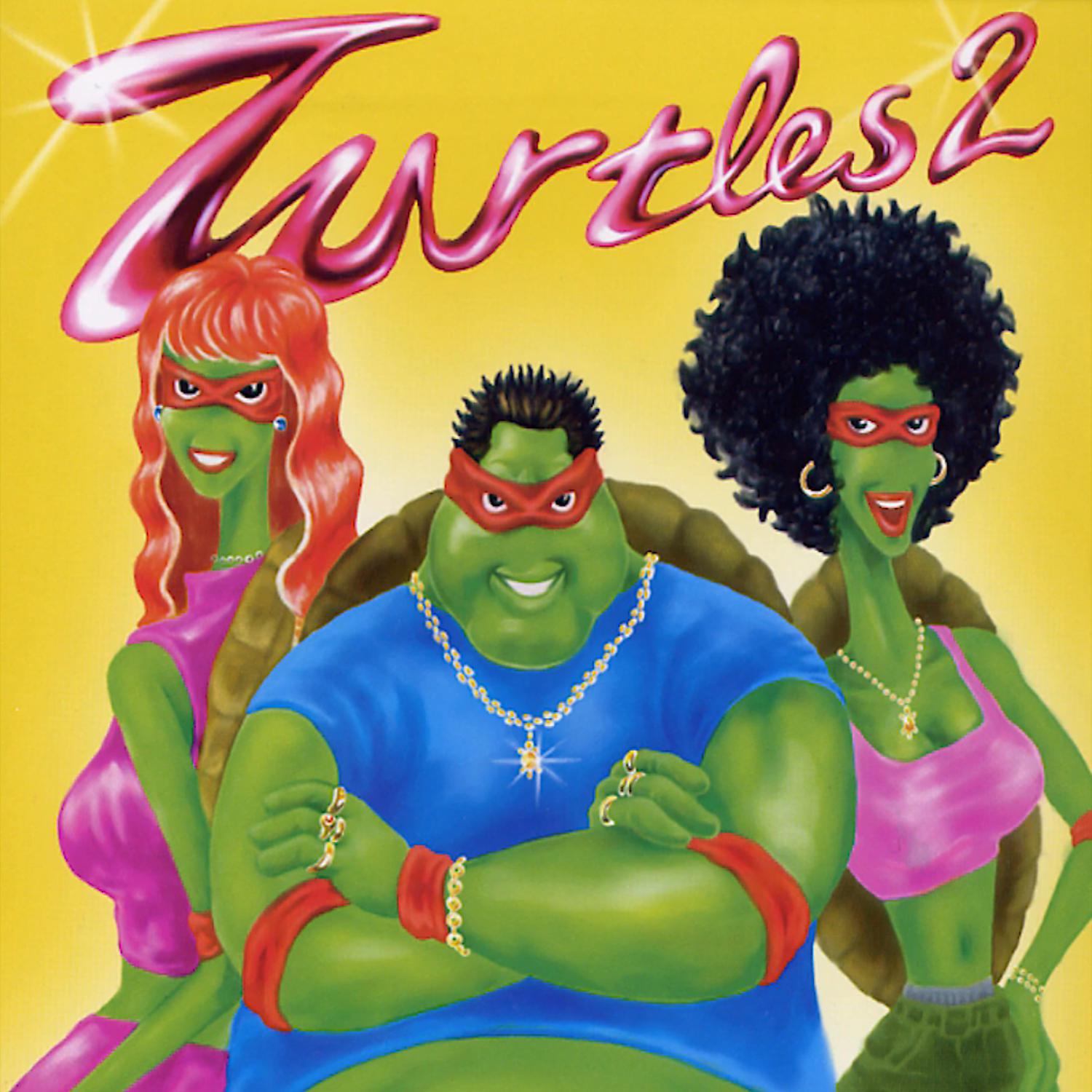 Постер альбома Turtle 2nd