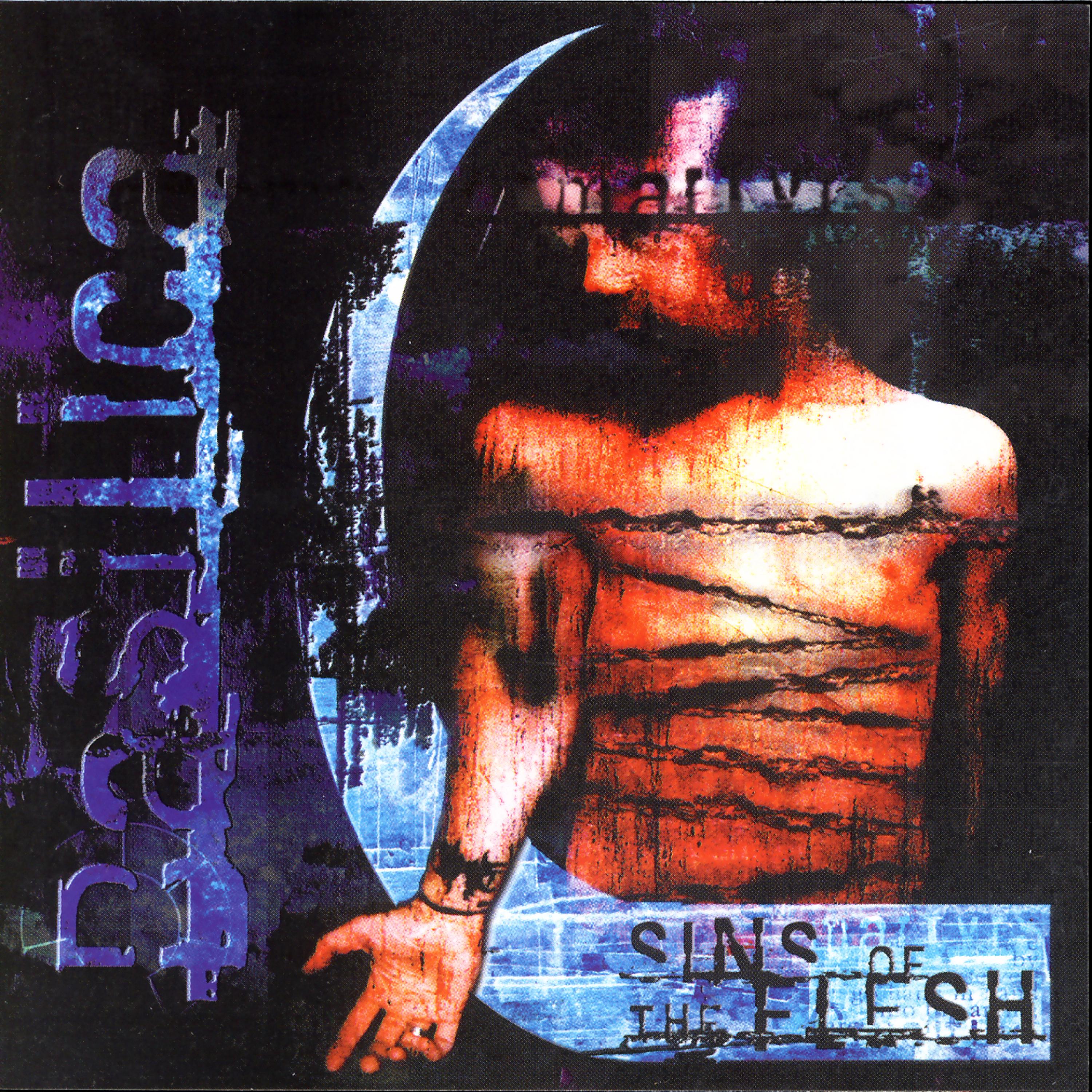 Постер альбома Sins of the Flesh