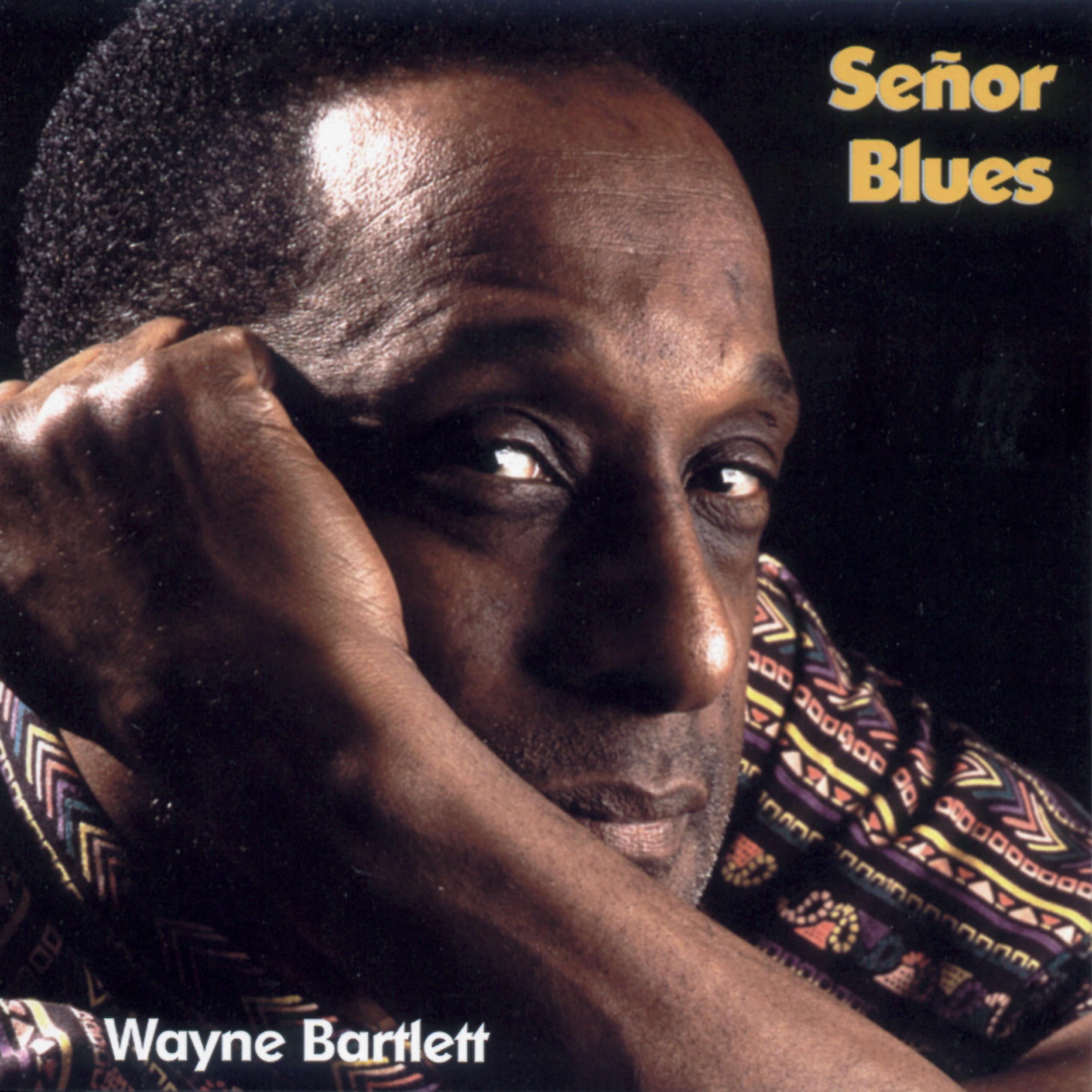 Постер альбома Senor Blues