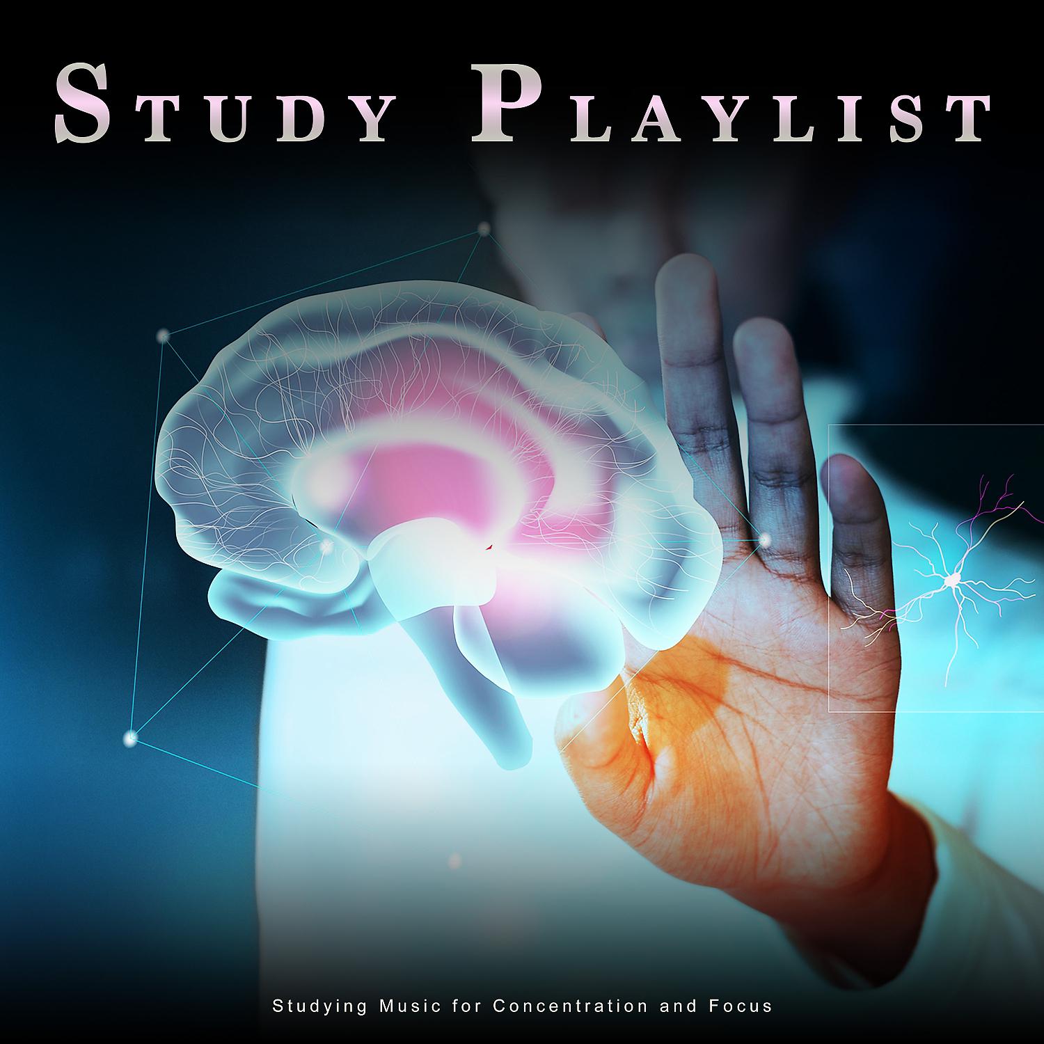 Постер альбома Study Playlist: Studying Music for Concentration and Focus