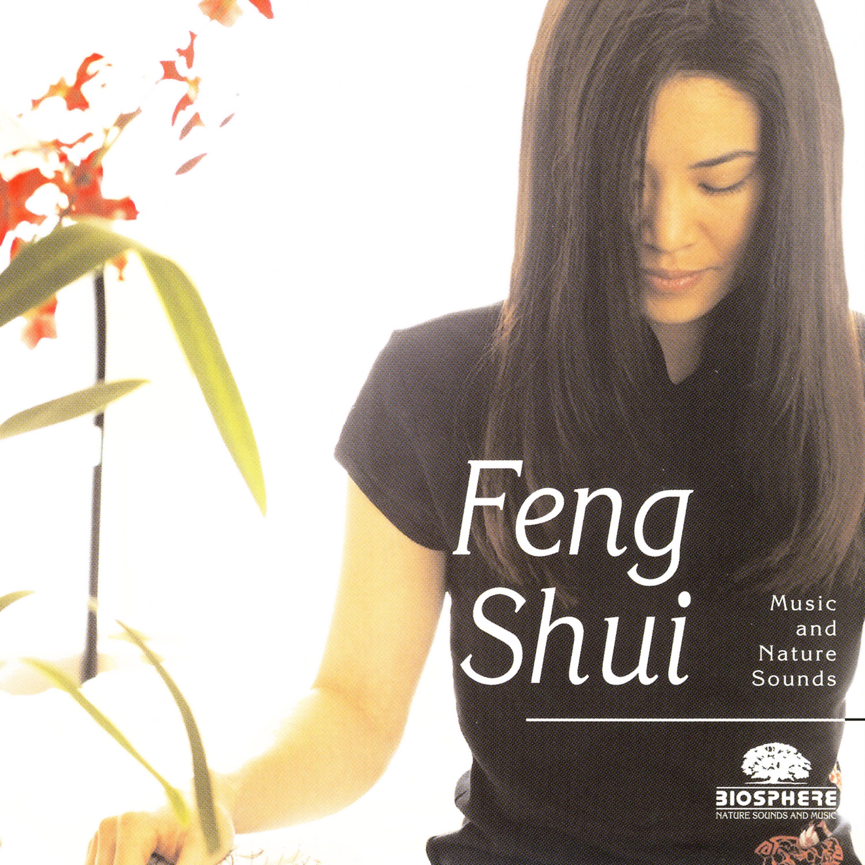 Постер альбома Feng Shui