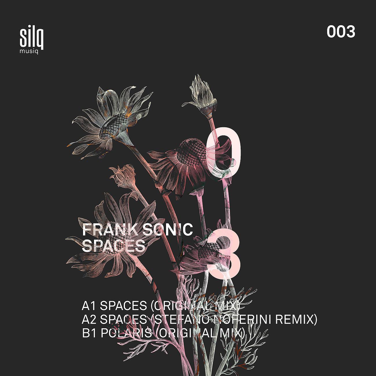 Frank Sonic - Polaris