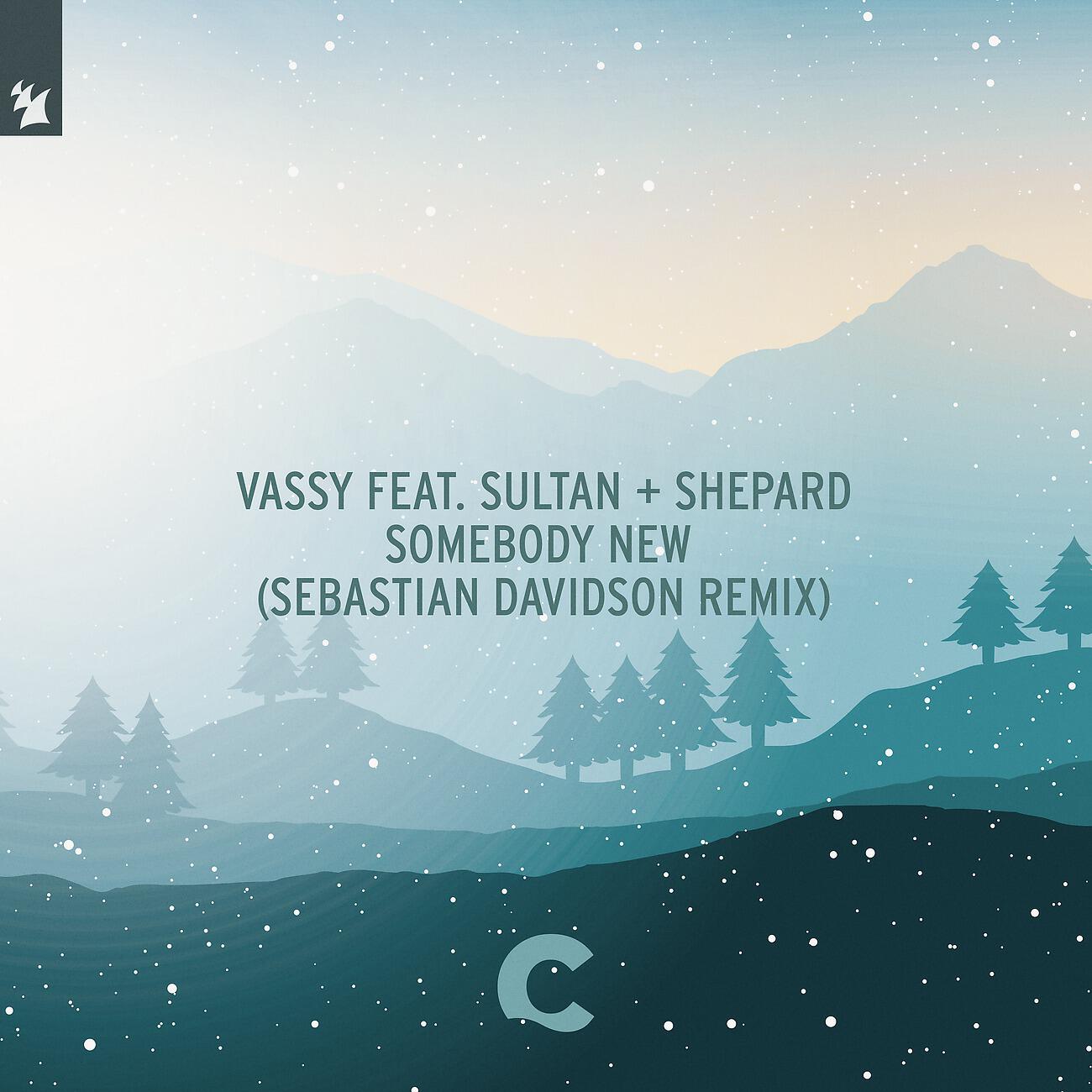 VASSY - Somebody New (Sebastian Davidson Extended Remix)