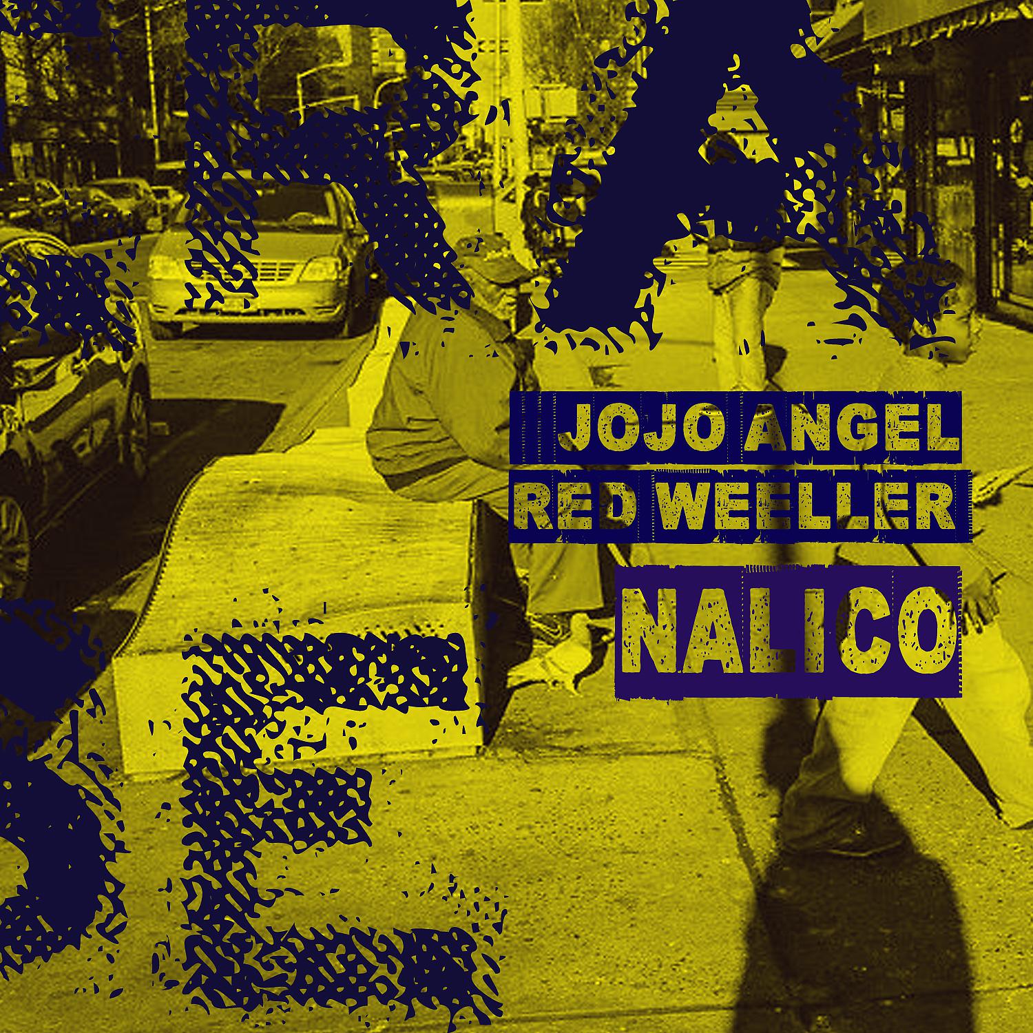 Постер альбома Nalico